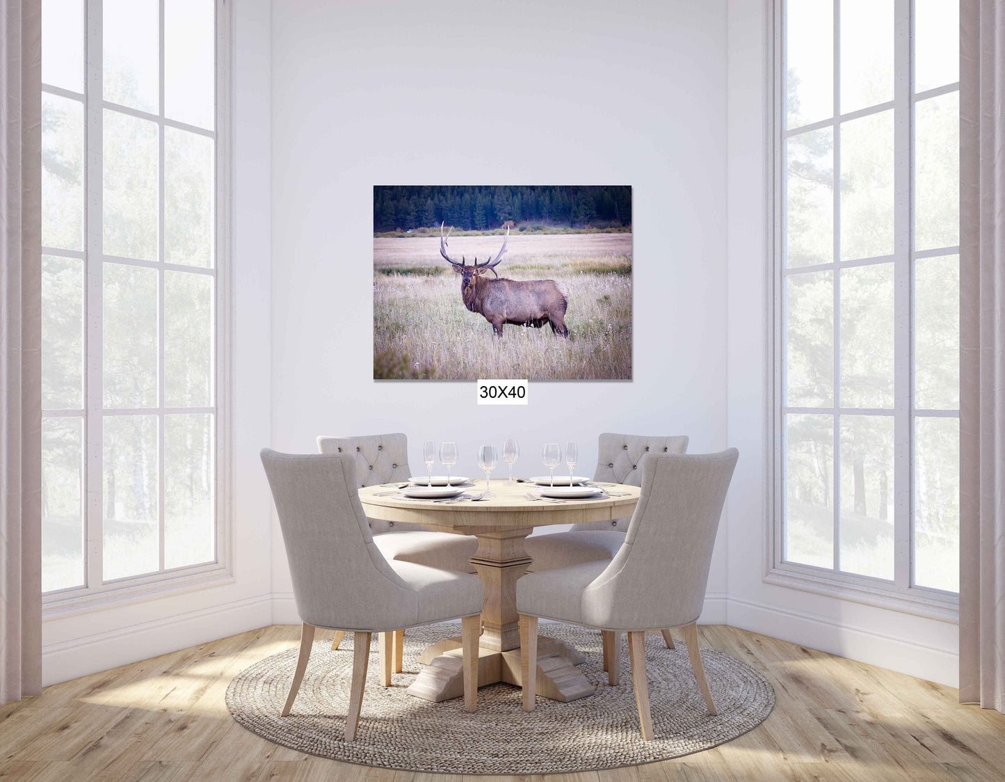 Bull Elk Photo Canvas Art, Wildlife Wall Decor, Rocky Mountain National Park, Colorado Elk Photography, Fine Art Print, Made in the USA