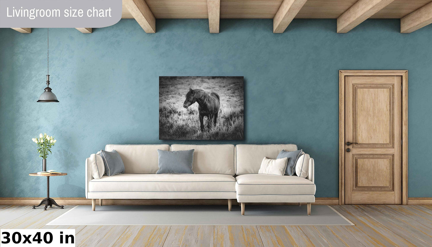 Wild Black Stallion Black White Photo, Mustang Horse Wall Art Print, Wyoming Wildlife Canvas, Cowboy Old West Decor for Home and Office