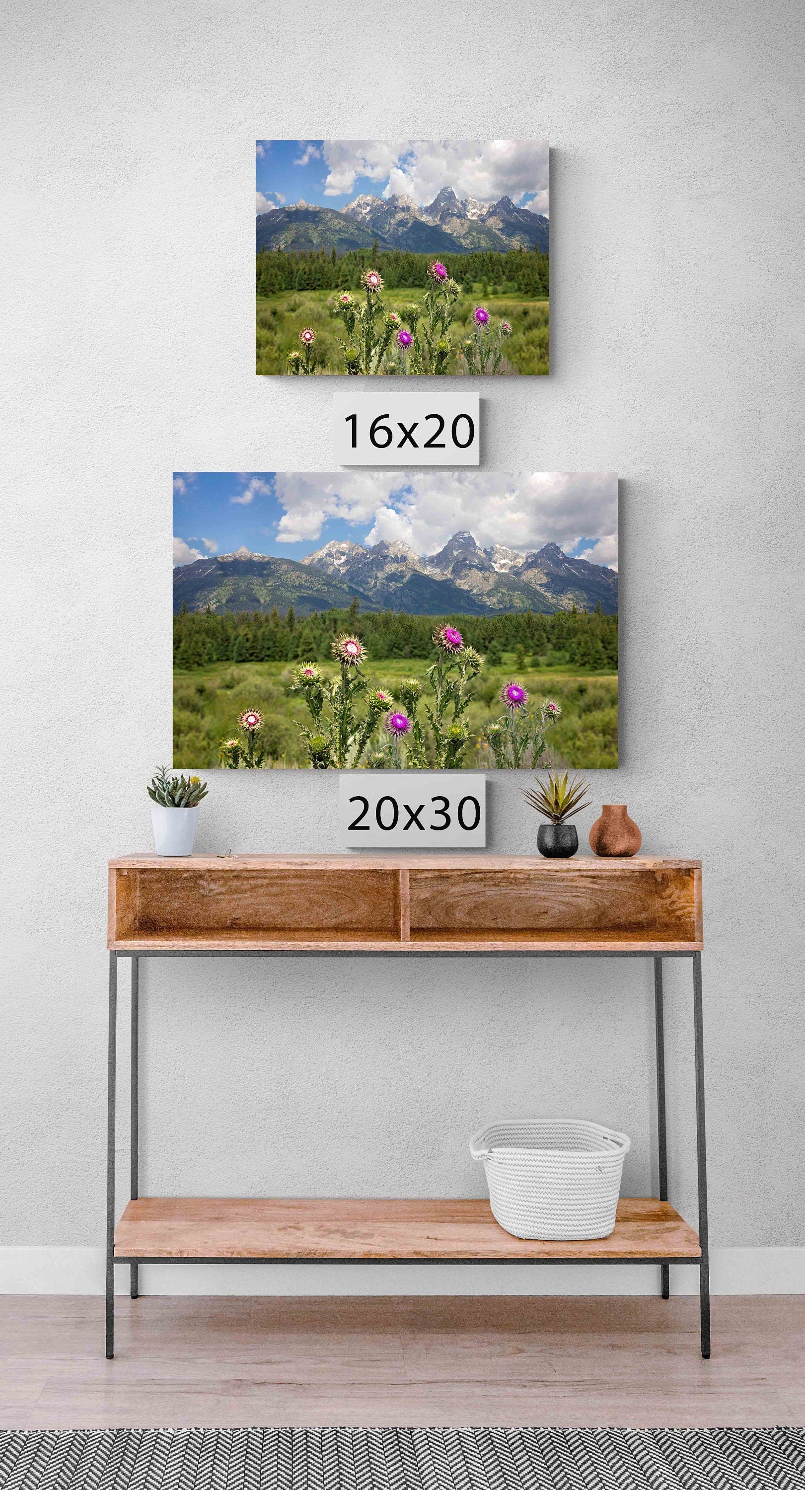 Thistle Canvas Print, Grand Teton National Park Landscape Photo Canvas, Mountain Wall Art, Wyoming Photography