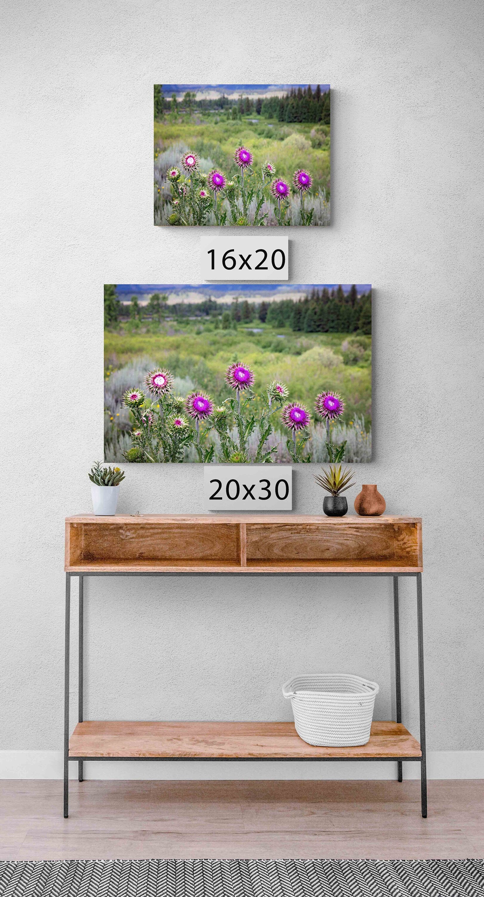 Thistle Canvas Print, Grand Teton National Park Landscape Photo Canvas, Mountain Wall Art, Wyoming Photography