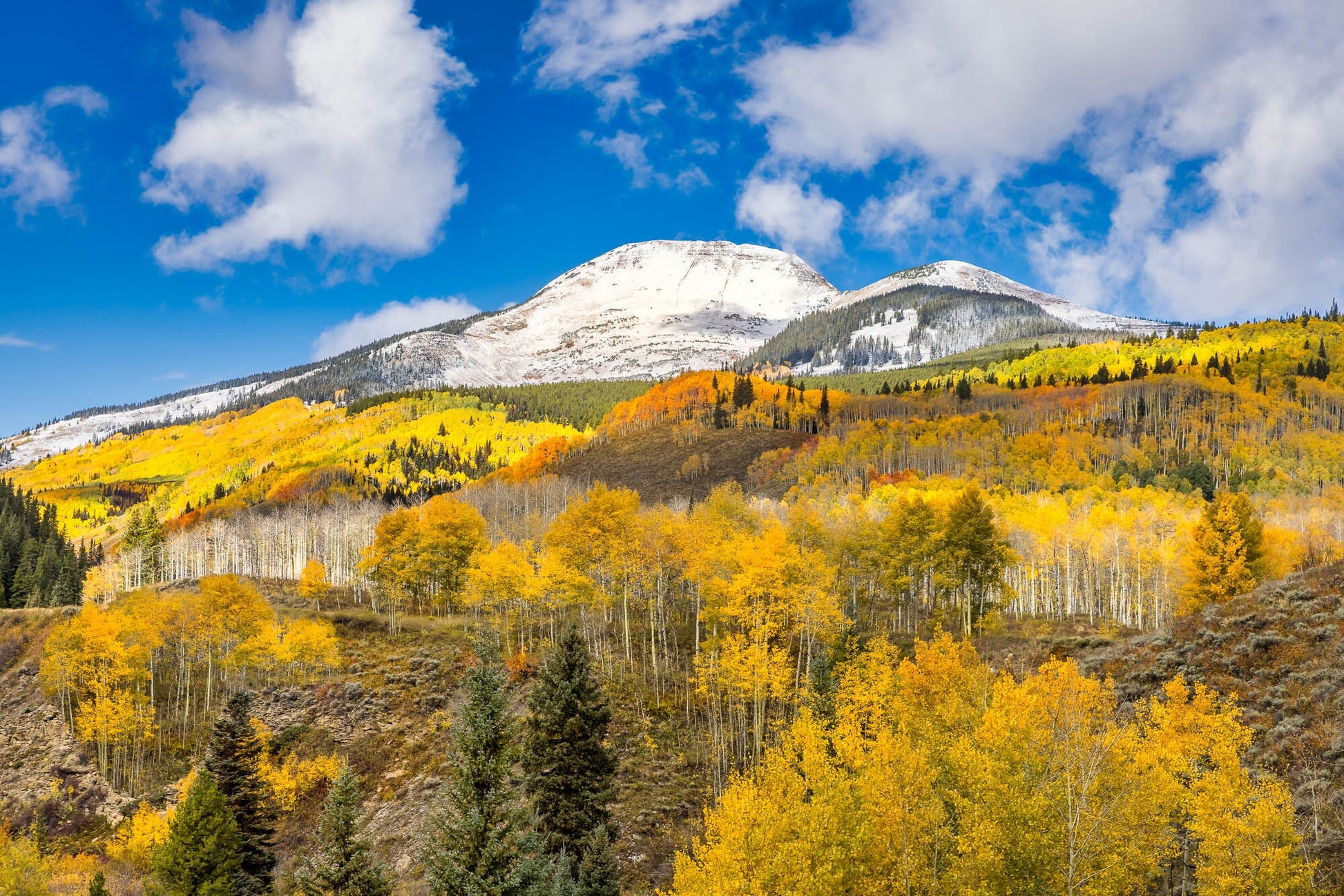 Rocky Mountain Large Wall Art, Colorado Autumn Aspens Art, Crested Butte Mountain Photo Landscape Print, Gunnison Forest Nature Canvas