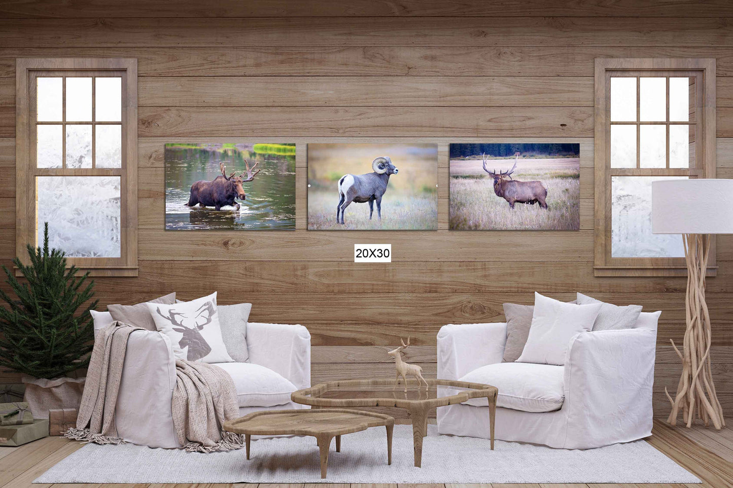 Rocky Mountain National Park Wildlife Photo Collection, Set of 3 Prints, Bull Elk Big Horn Ram Moose, Wildlife Wall Canvas, Colorado Art