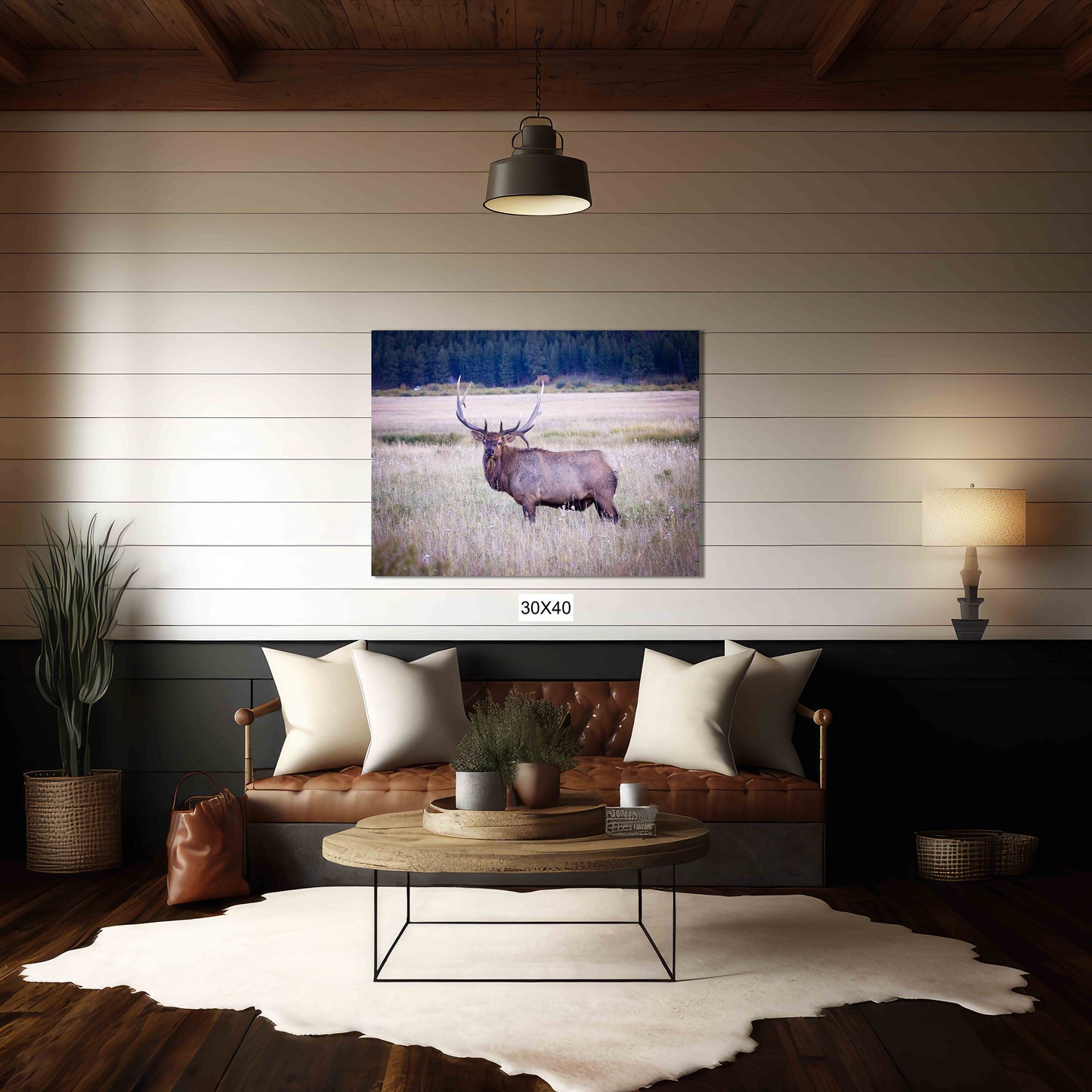 Rustic room with large print over leather sofa. Large bull elk with very large antlers standing in Moraine Park in Rocky Mountain National Park in late evening. Photo taken September 2023 by Sandy Dobbs. Prints and canvases available.