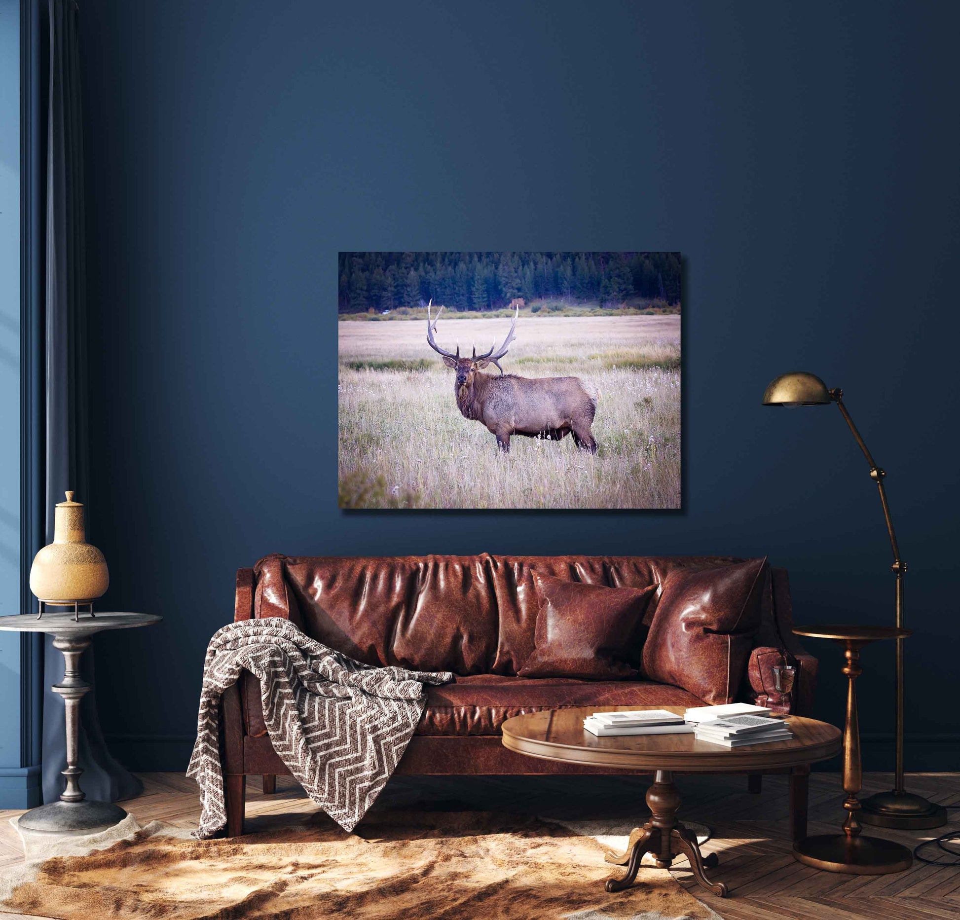 Bull Elk Photo Canvas Art, Wildlife Wall Decor, Rocky Mountain National Park, Colorado Elk Photography, Fine Art Print, Made in the USA