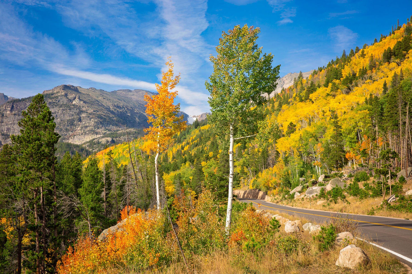 Bear Lake Road Rocky Mountain National Park Fall Aspens, Autumn Photo, Colorado Landscape Canvas Wall Art, Forest Scene Decor for Home