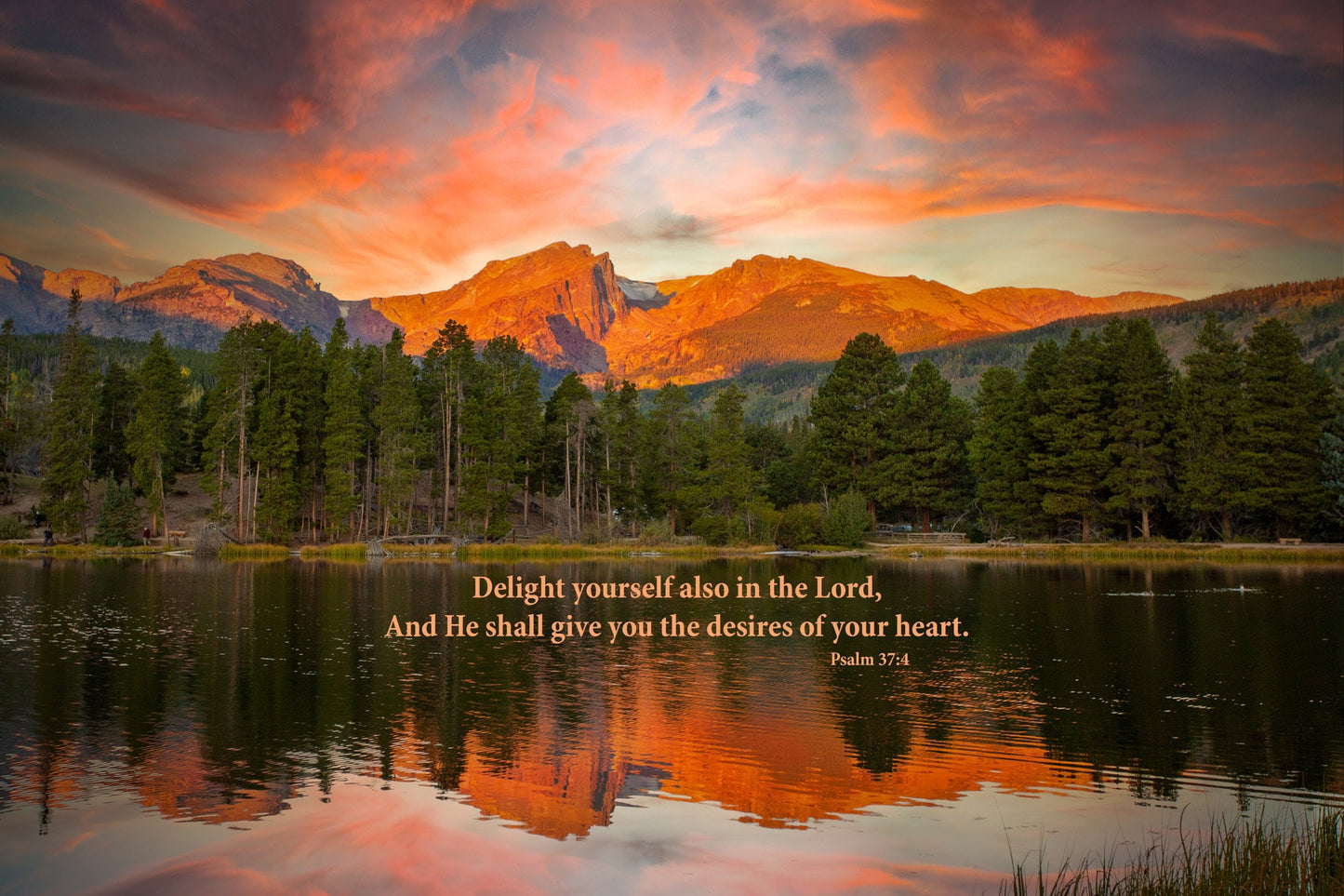 Psalm 37:4 Christian Inspirational Wall Art, Rocky Mountain National Park Mountain Sunrise, Colorado Landscape Photography, Large Canvas