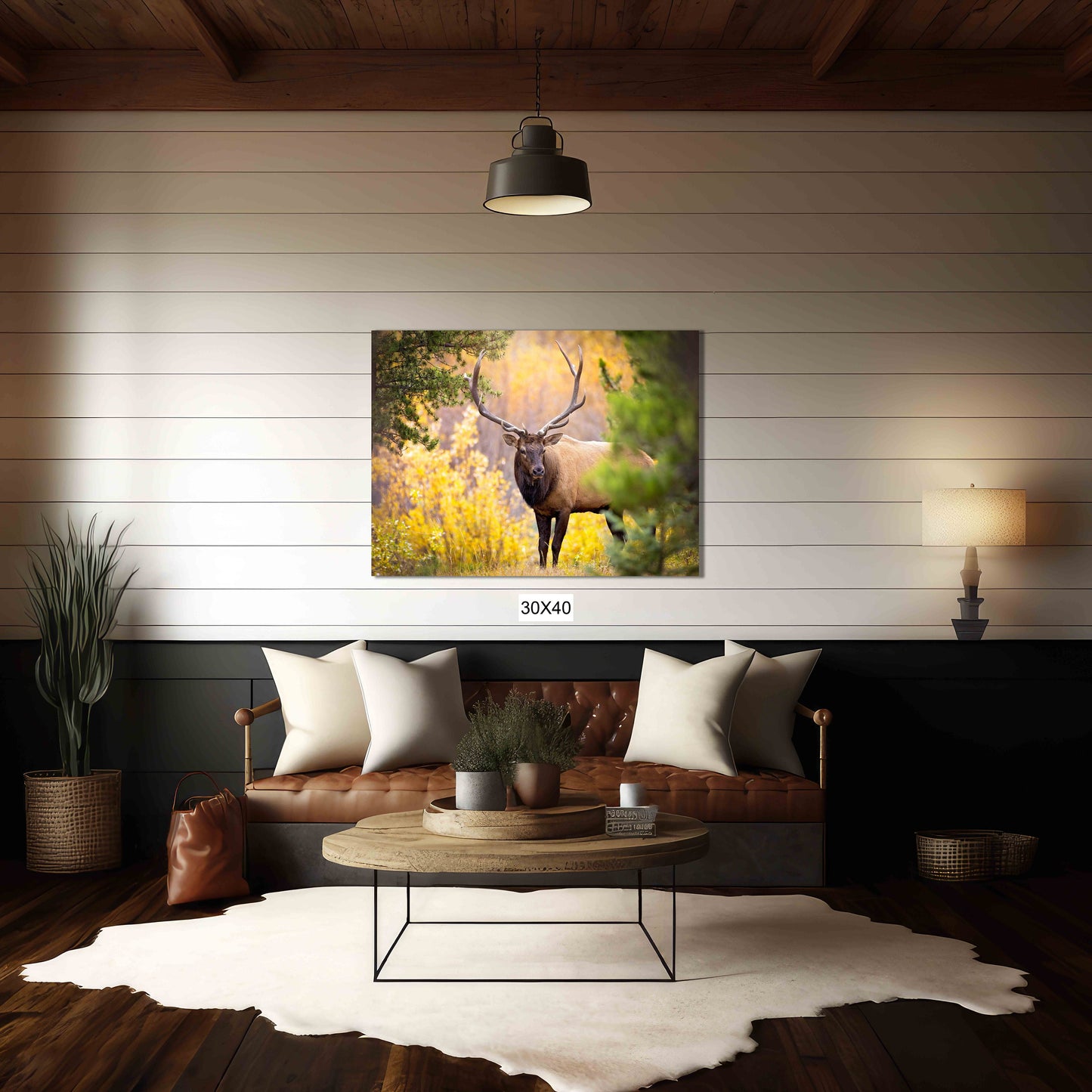 Bull Elk in Autumn Aspens, Wildlife Wall Canvas, Rocky Mountain National Park, Colorado Photography Art Print, Original Made in the USA