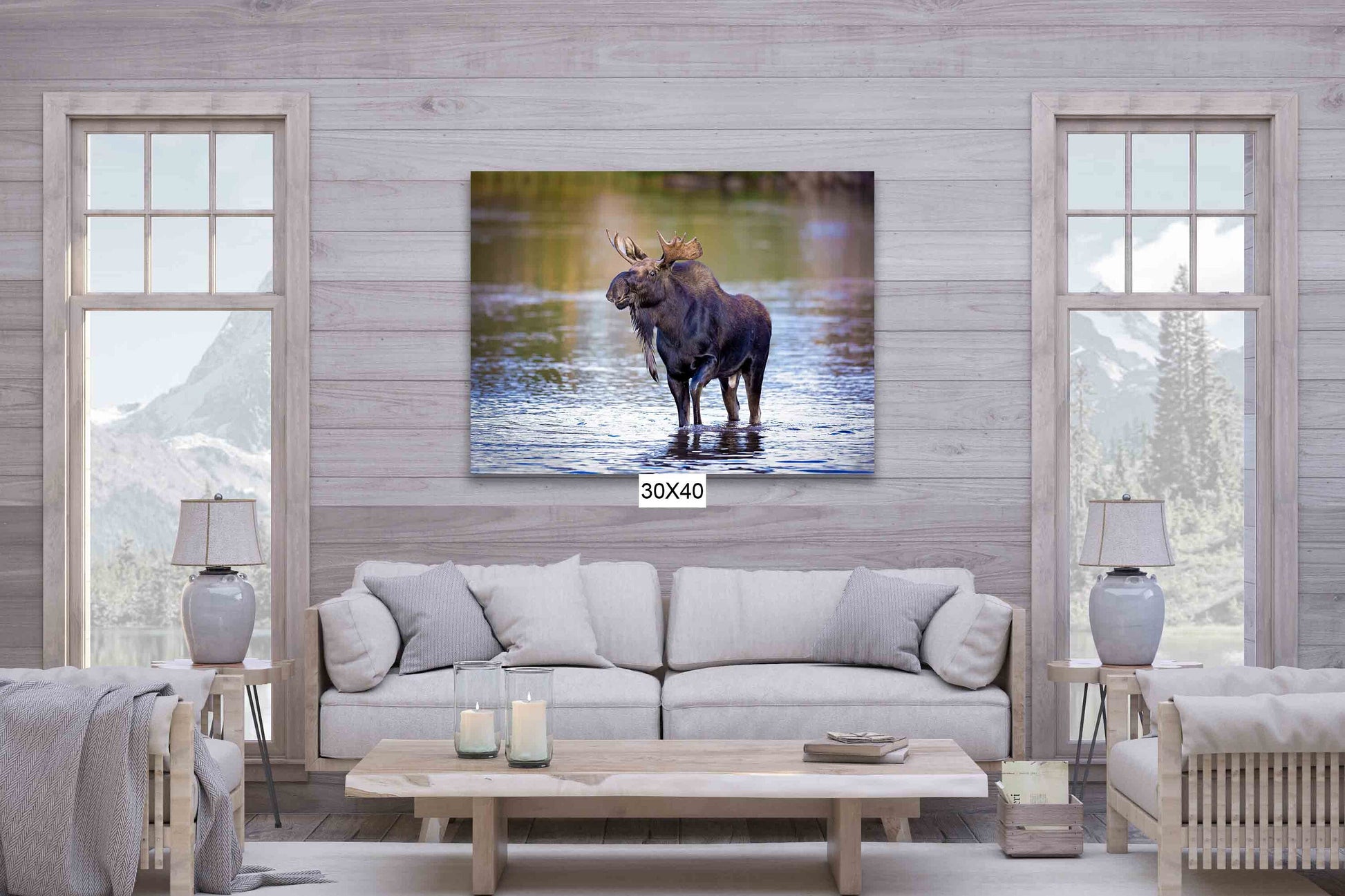 Bull Moose Photo, Rocky Mountain National Park Wildlife, Colorado Canvas Wall Art Print, Fine Art Nature, Original Animal Photography