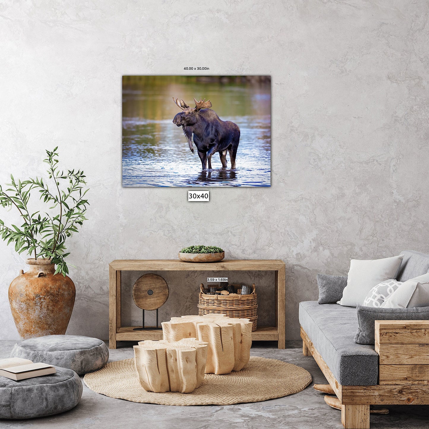 Bull Moose Photo, Rocky Mountain National Park Wildlife, Colorado Canvas Wall Art Print, Fine Art Nature, Original Animal Photography