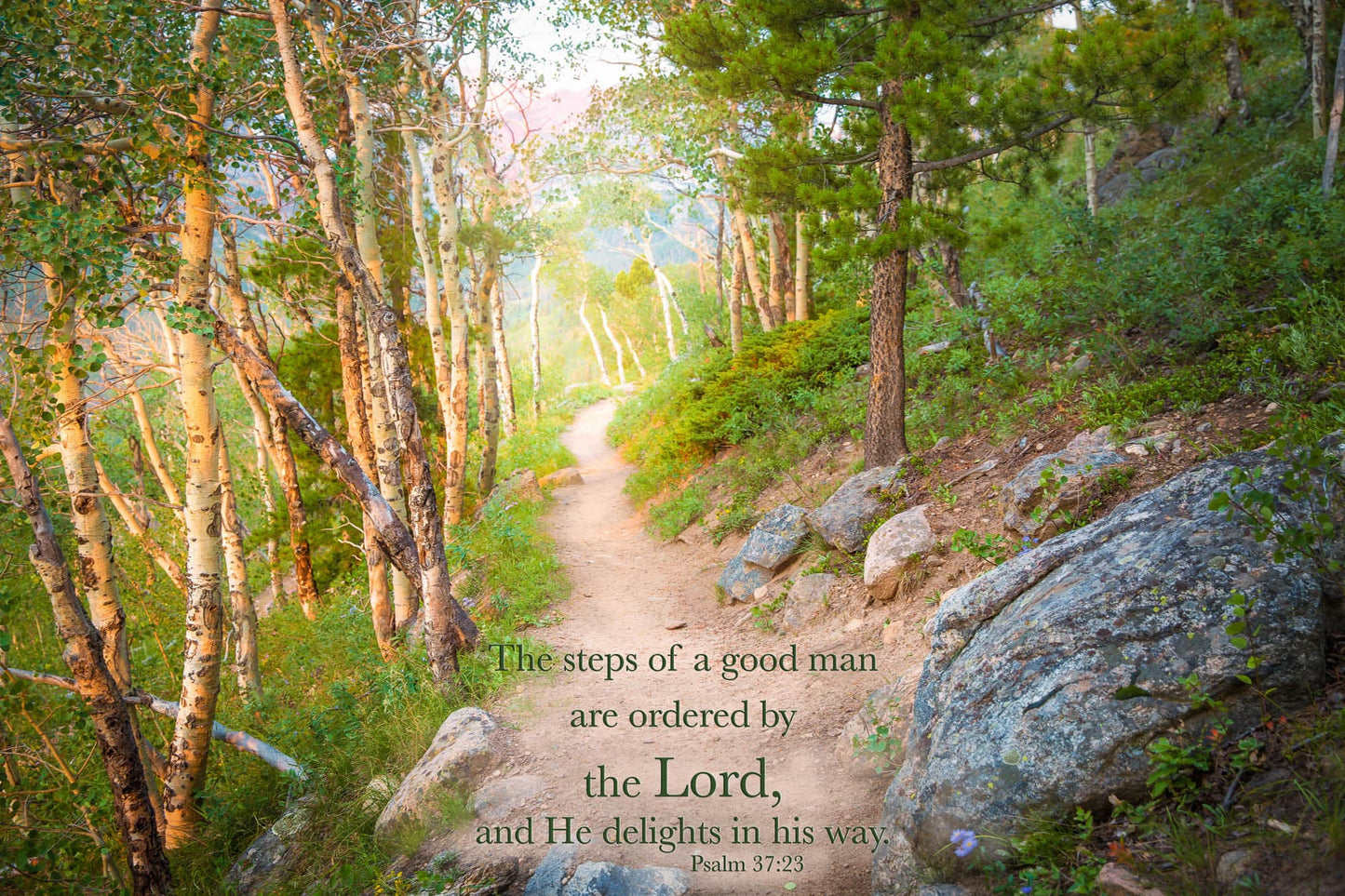 Psalm 37:23 Bible Verse Photo Canvas, Christian Scripture Inspirational Wall Art, Rocky Mountain National Park, Colorado, Steps of Good Man