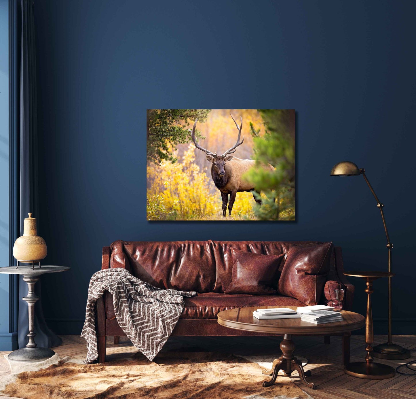 Bull Elk in Autumn Aspens, Wildlife Wall Canvas, Rocky Mountain National Park, Colorado Photography Art Print, Original Made in the USA