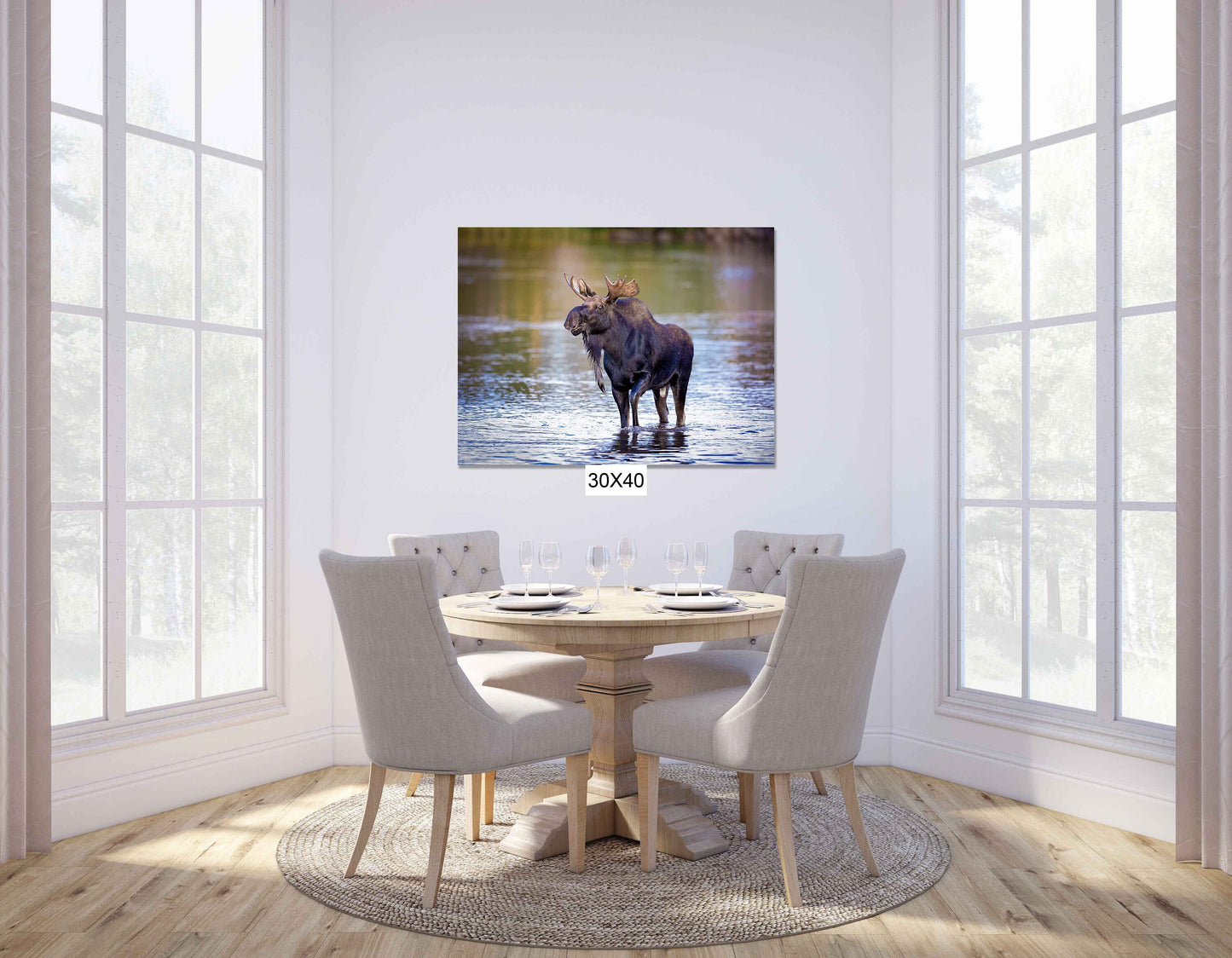 Bull Moose Photo, Rocky Mountain National Park Wildlife, Colorado Canvas Wall Art Print, Fine Art Nature, Original Animal Photography