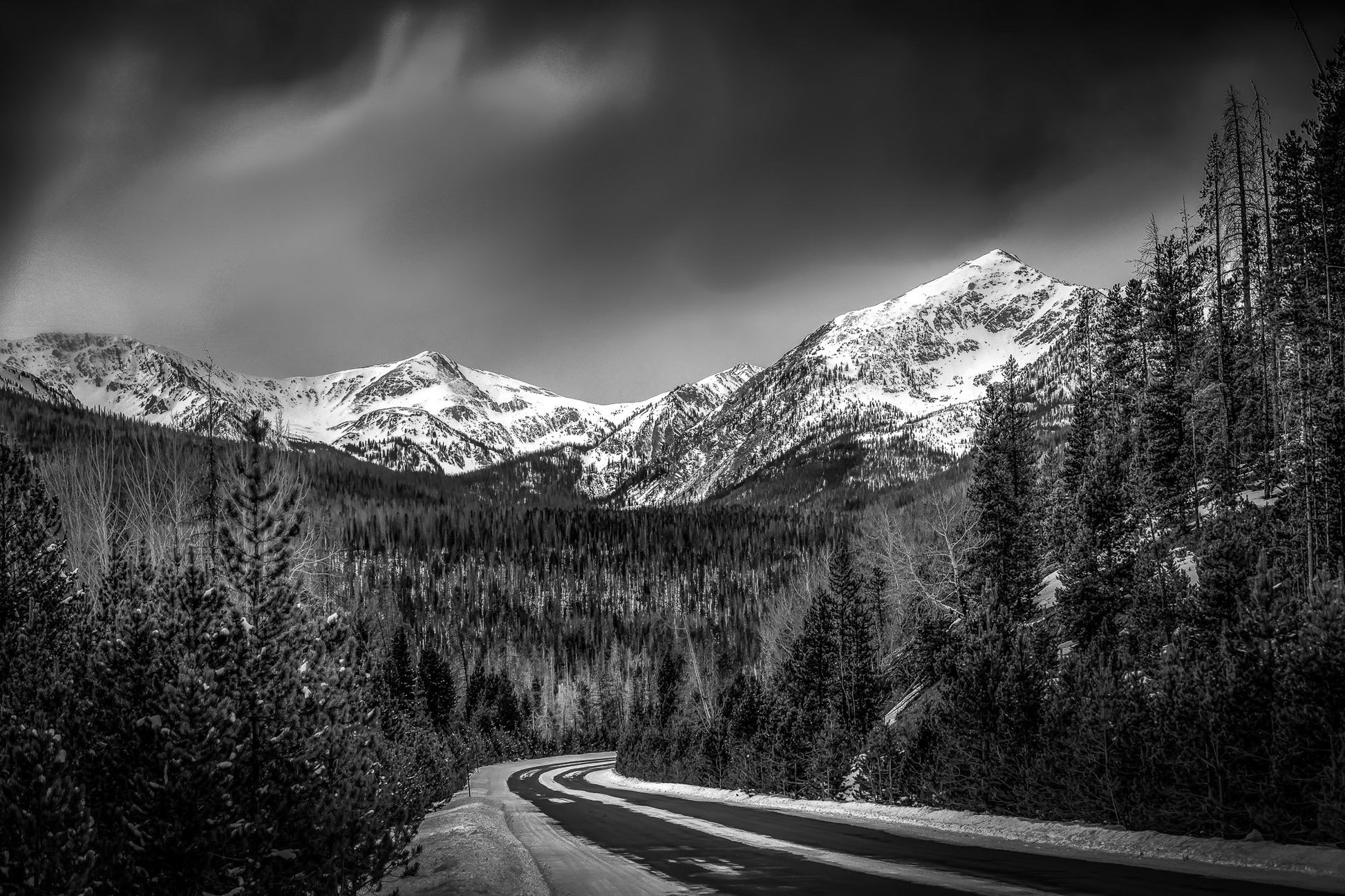 Black and White Rocky Mountain National Park Print, Stormy Winter Sky, Colorado Landscape Canvas Wall Art, Snowy Forest Scene Photo