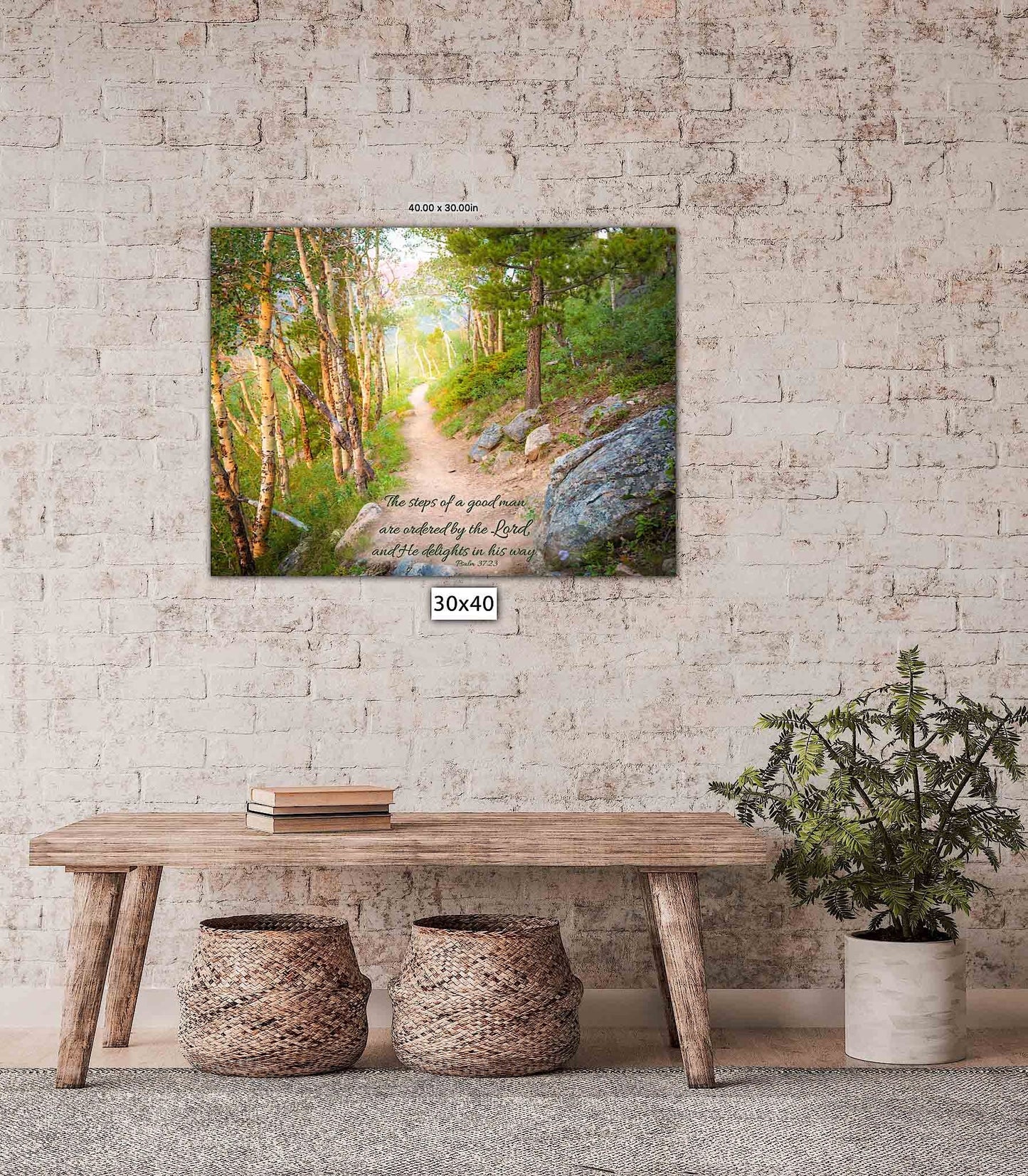 Psalm 37:23 Bible Verse Photo Canvas, Christian Scripture Inspirational Wall Art, Rocky Mountain National Park, Colorado, Steps of Good Man