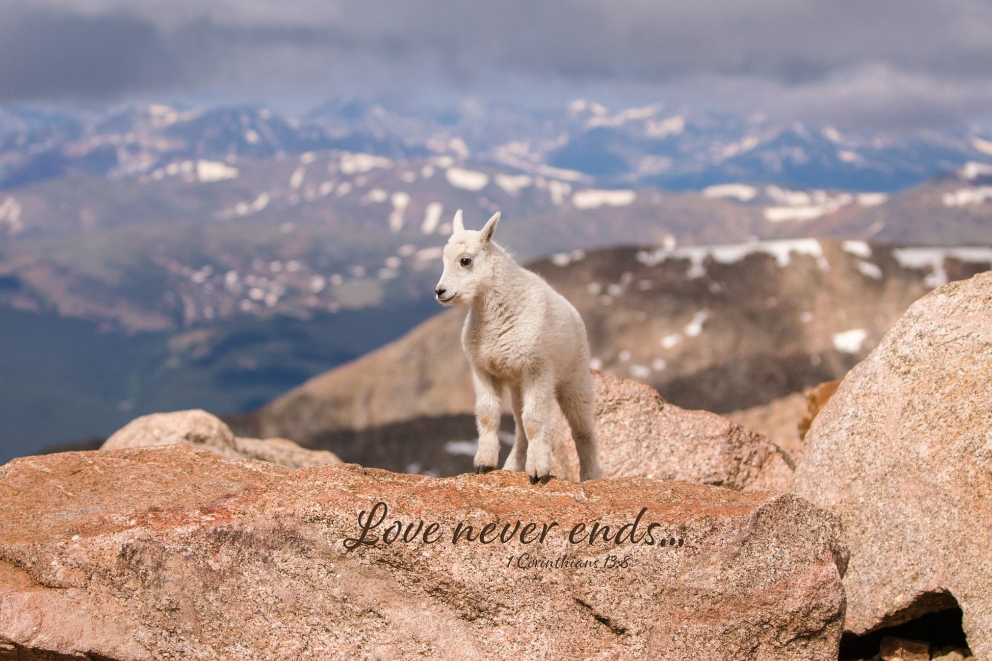 1 Corinthians 13:8 Love Never Ends, Bible Verse Photo, Mountain Goat Baby Scripture Canvas, Christian Inspirational Wall Art, Colorado