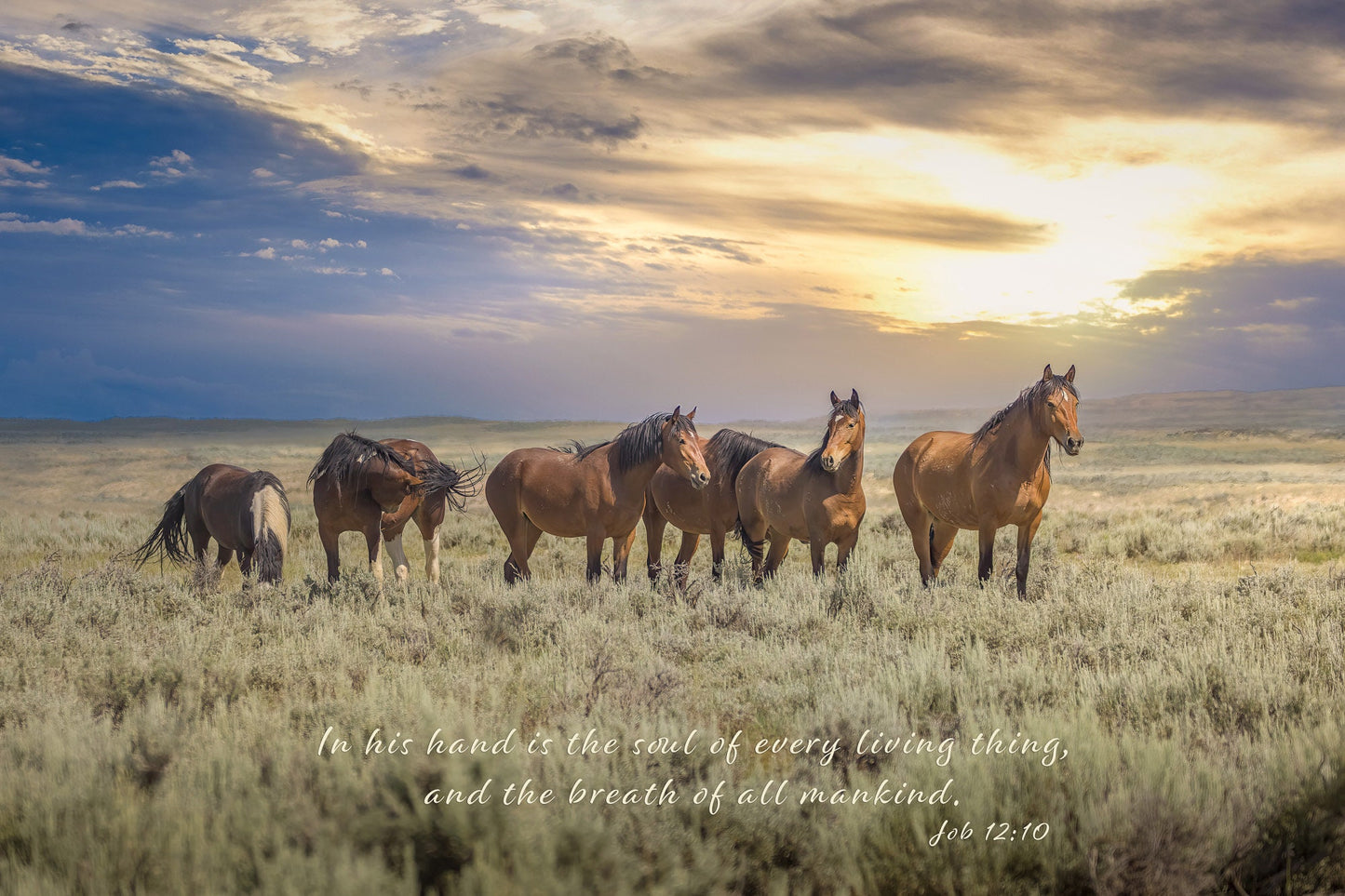 Job 12:10 Wild Horses Bible Verse, Wild Mustang Scripture Canvas, Christian Inspirational Wall Art, Cowboy Old West Decor, In God's Hand