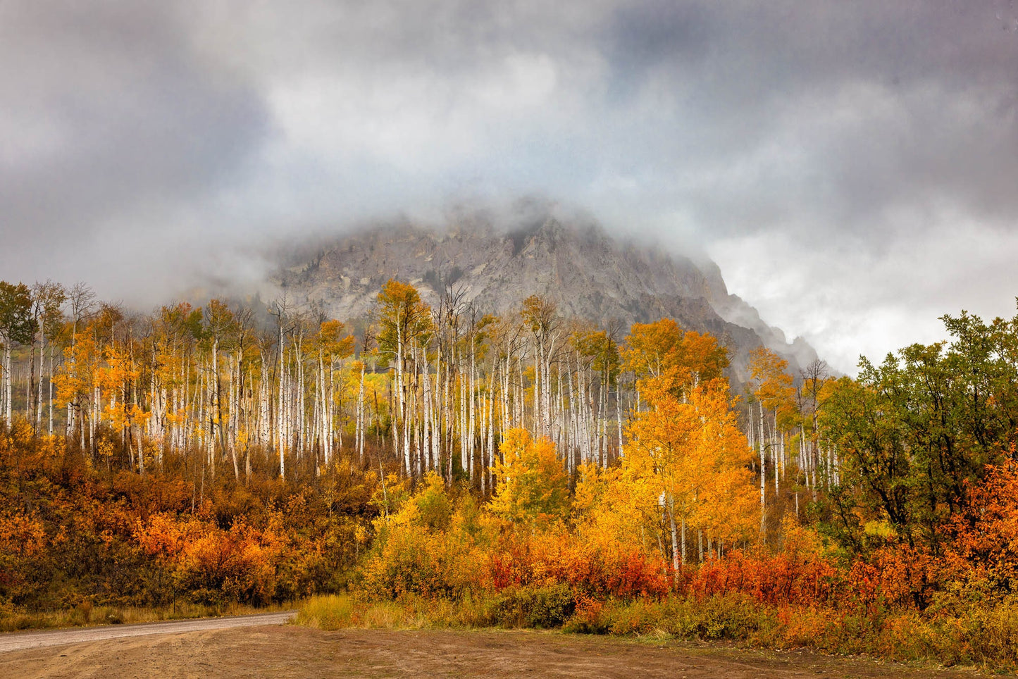 Colorado Autumn Mountain Landscape Photo, Aspen Trees in Fall, San Juan Rocky Mountain Photography, Large Wall Fine Art, Nature Canvas Print