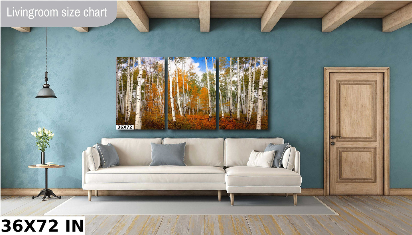 Autumn Aspen Trees Photo Print, Crested Butte Colorado Landscape, Fall Foliage Canvas, Beautiful Forest, San Juan Rocky Mountain Photography