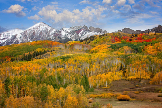 Crested Butte Colorado Autumn Mountain Landscape Photo, Golden Aspen Trees, Fall Nature Canvas Print, San Juan Rocky Mountain Photography