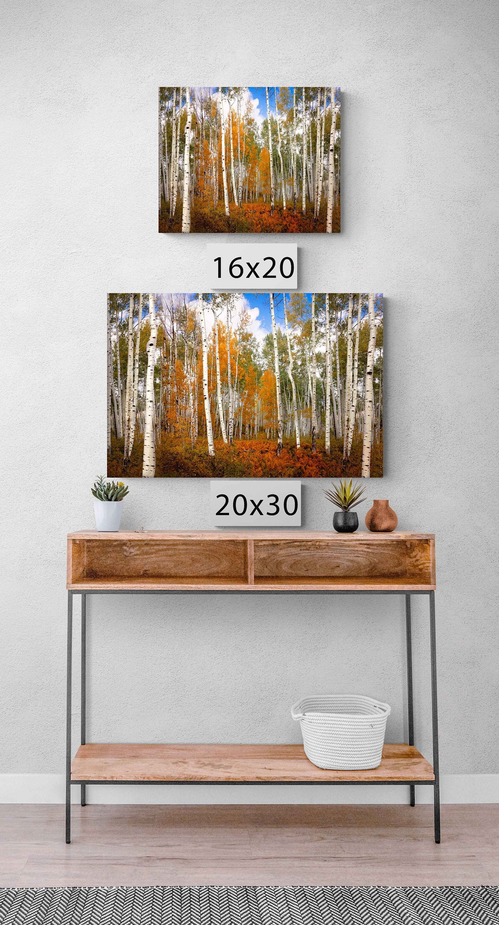 Autumn Aspen Trees Photo Print, Crested Butte Colorado Landscape, Fall Foliage Canvas, Beautiful Forest, San Juan Rocky Mountain Photography