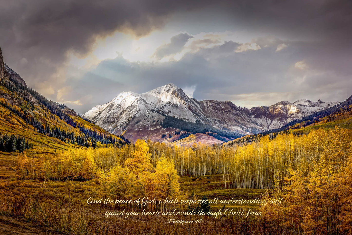 Philippians 4:7 Christian Inspirational Photo Print, Peace of God, Colorado Autumn Panoramic Landscape Print, Golden Aspens Mountain Photo