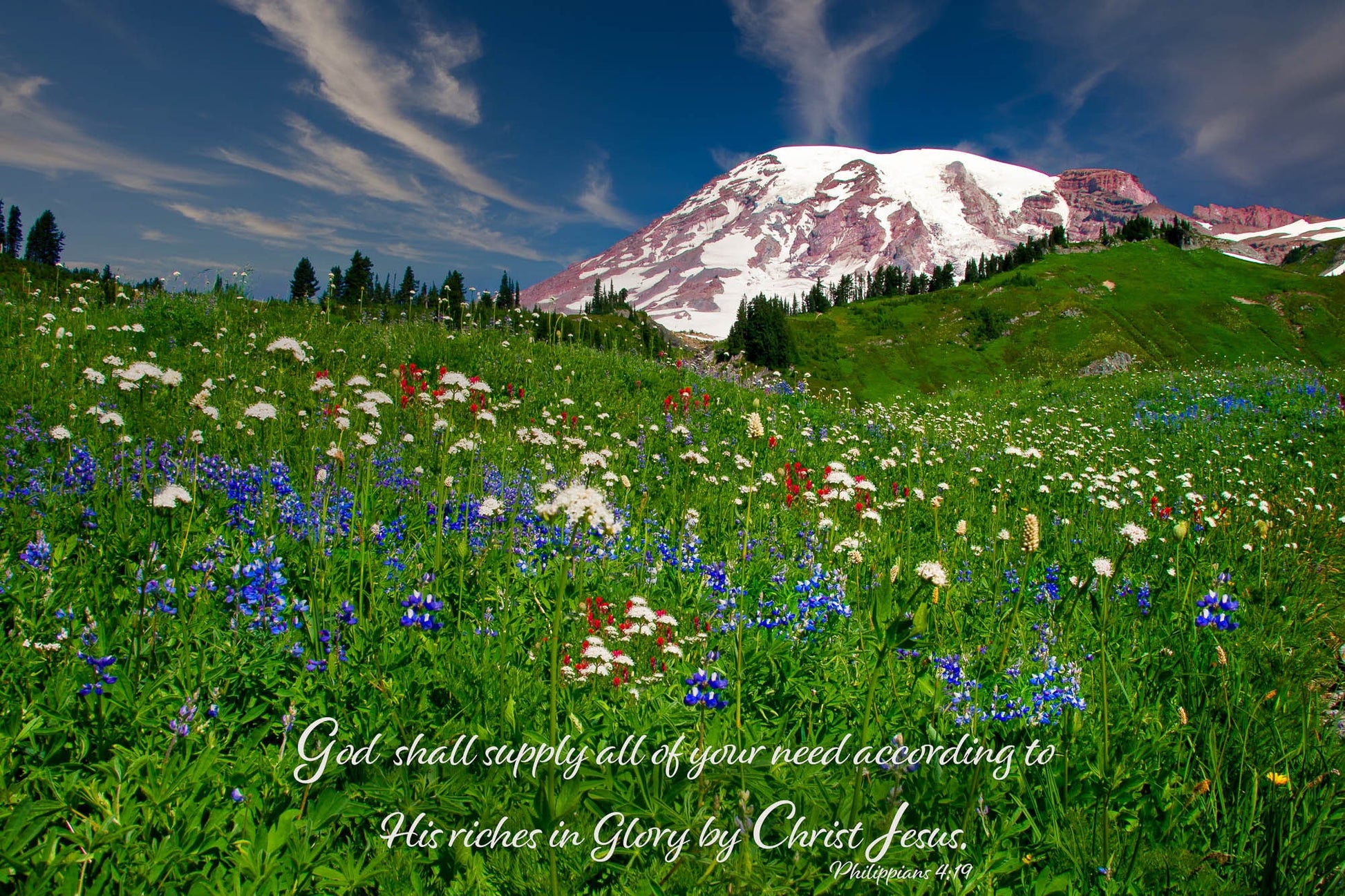 Philippians 4:19 Scripture Canvas, Mt Rainier Mountain Scene Bible Verse, Christian Inspirational Wall Art, My God Shall Supply Your Need