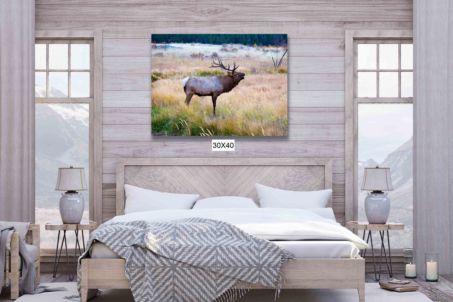 Bull Elk Bugling in Rocky Mountain National Park, Moraine Park, Colorado Art Prints, Elk Photography, Wildlife Wall Canvas, Made in the USA