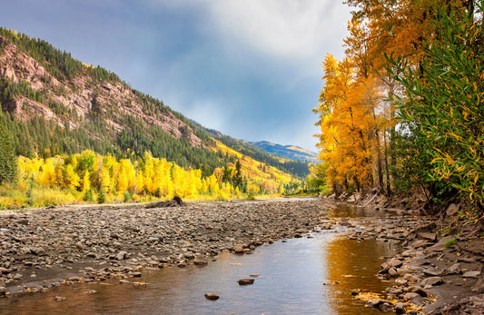 Colorado Landscape Fall Foliage Canvas, Crystal River Autumn Aspen Trees Photo Print, Beautiful Forest, San Juan Rocky Mountain Photography