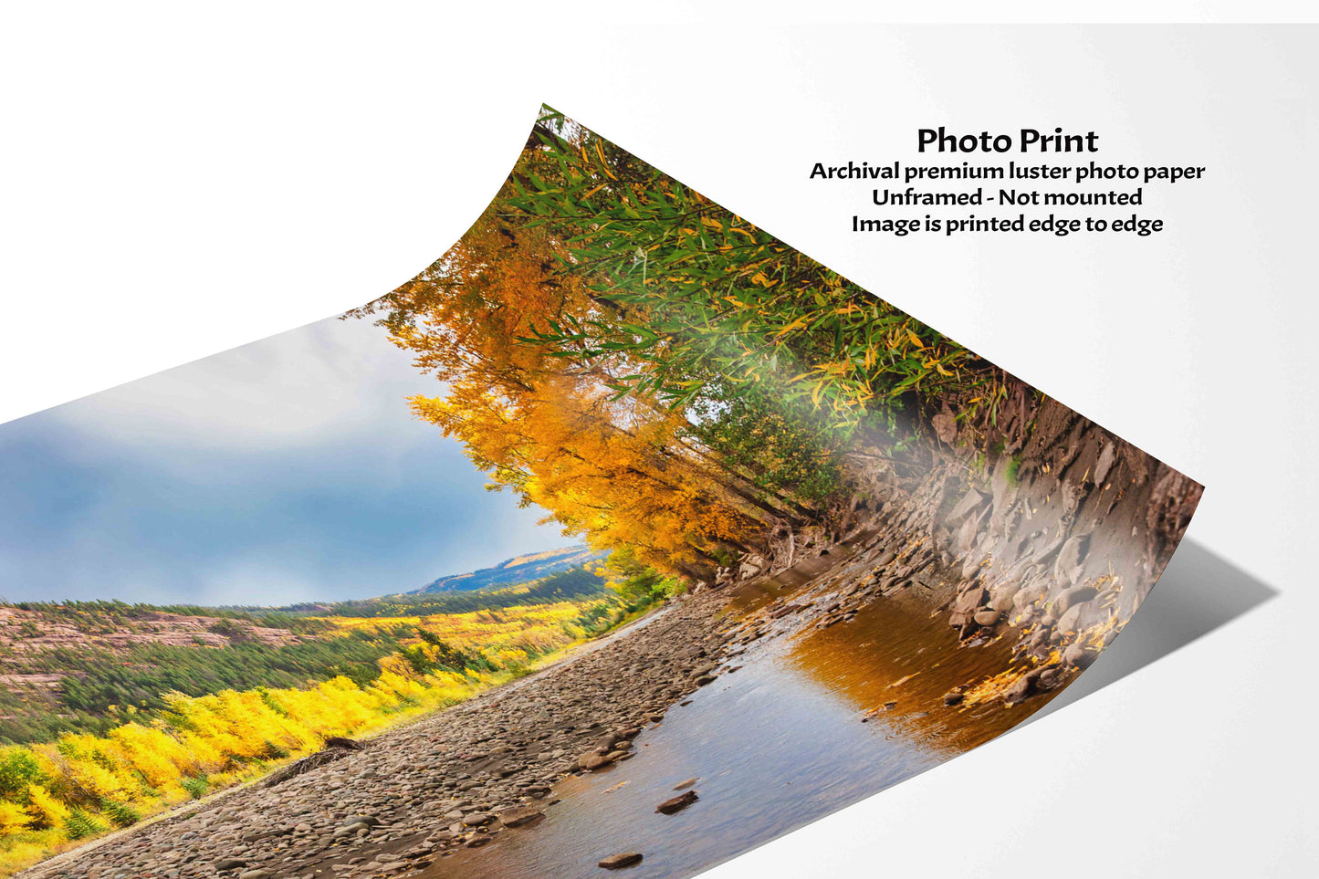 Colorado Landscape Fall Foliage Canvas, Crystal River Autumn Aspen Trees Photo Print, Beautiful Forest, San Juan Rocky Mountain Photography