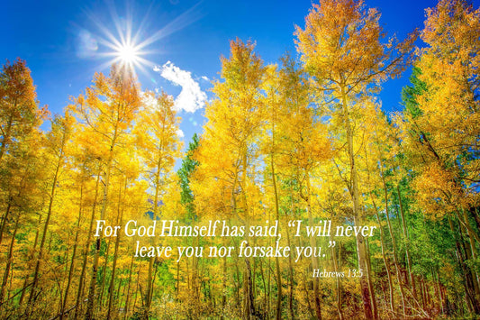 Hebrews 13:5 God Will Never Leave You Nor Forsake You, Christian Inspirational Wall Art, Colorado Landscape Photography Canvas, Autumn Aspen