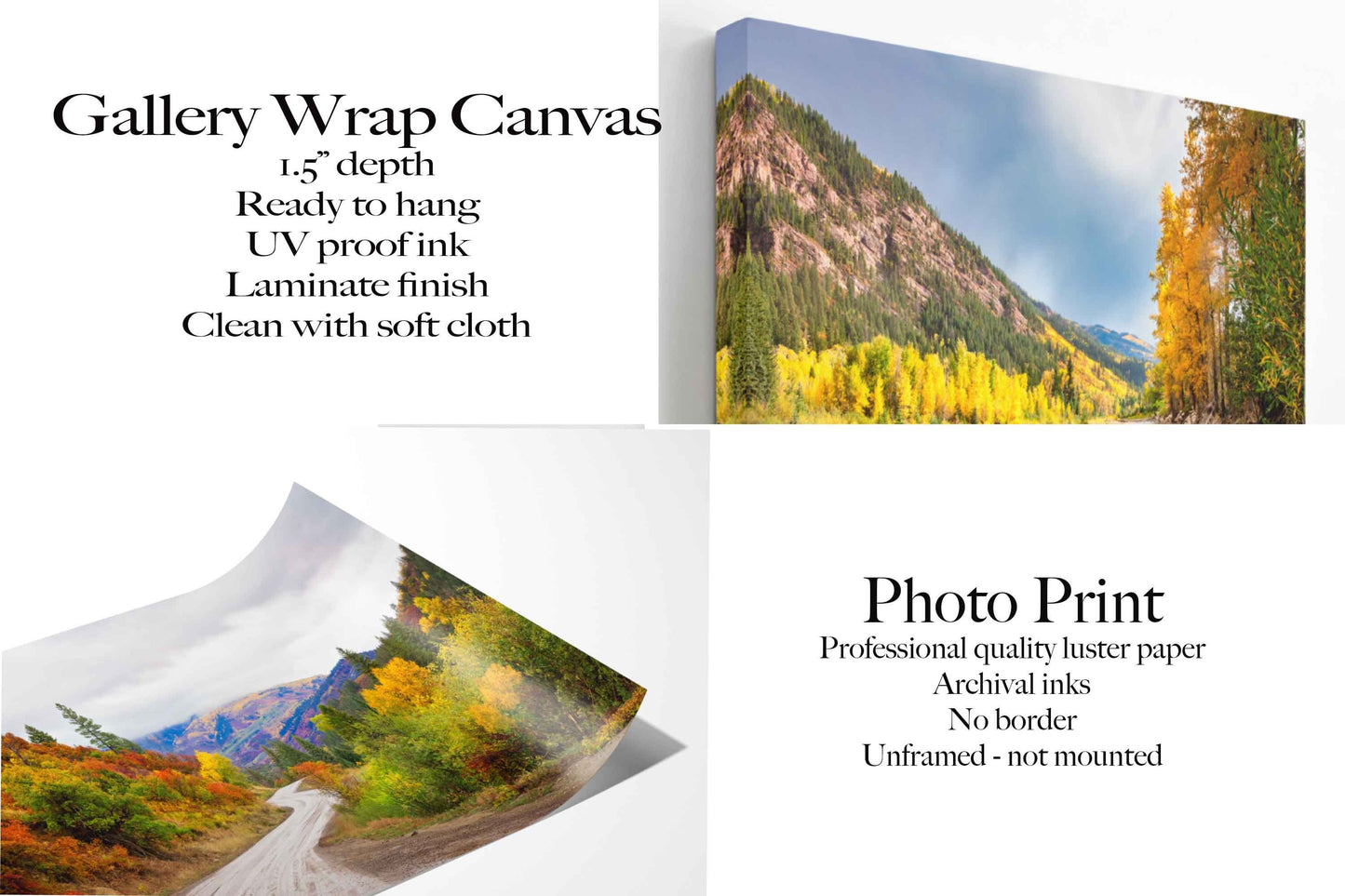 Panoramic Colorado Autumn Landscape Photo Print, Rocky Mountain Aspen Trees, Large Canvas Wall Art, Beautiful Scenery, San Juan Mountains