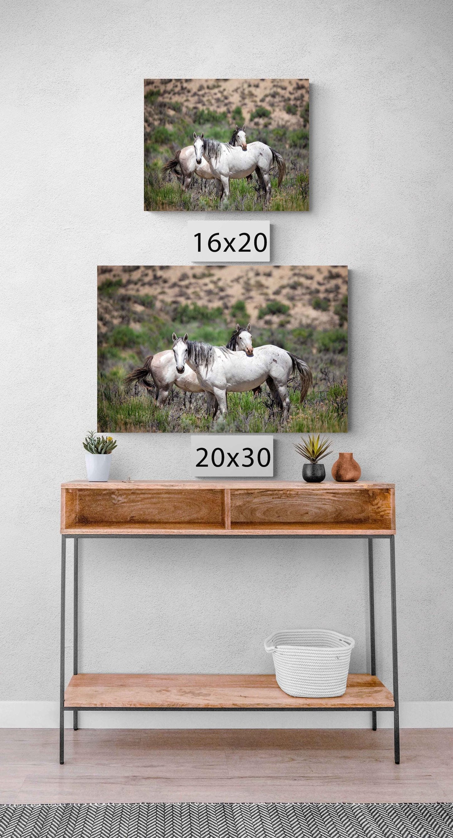 Wild Mustangs Photo, Wild Horses in Colorado Wall Art Print, Pinto and Gray Mares, Wildlife Canvas, Cowboy Old West Decor for Home or Office