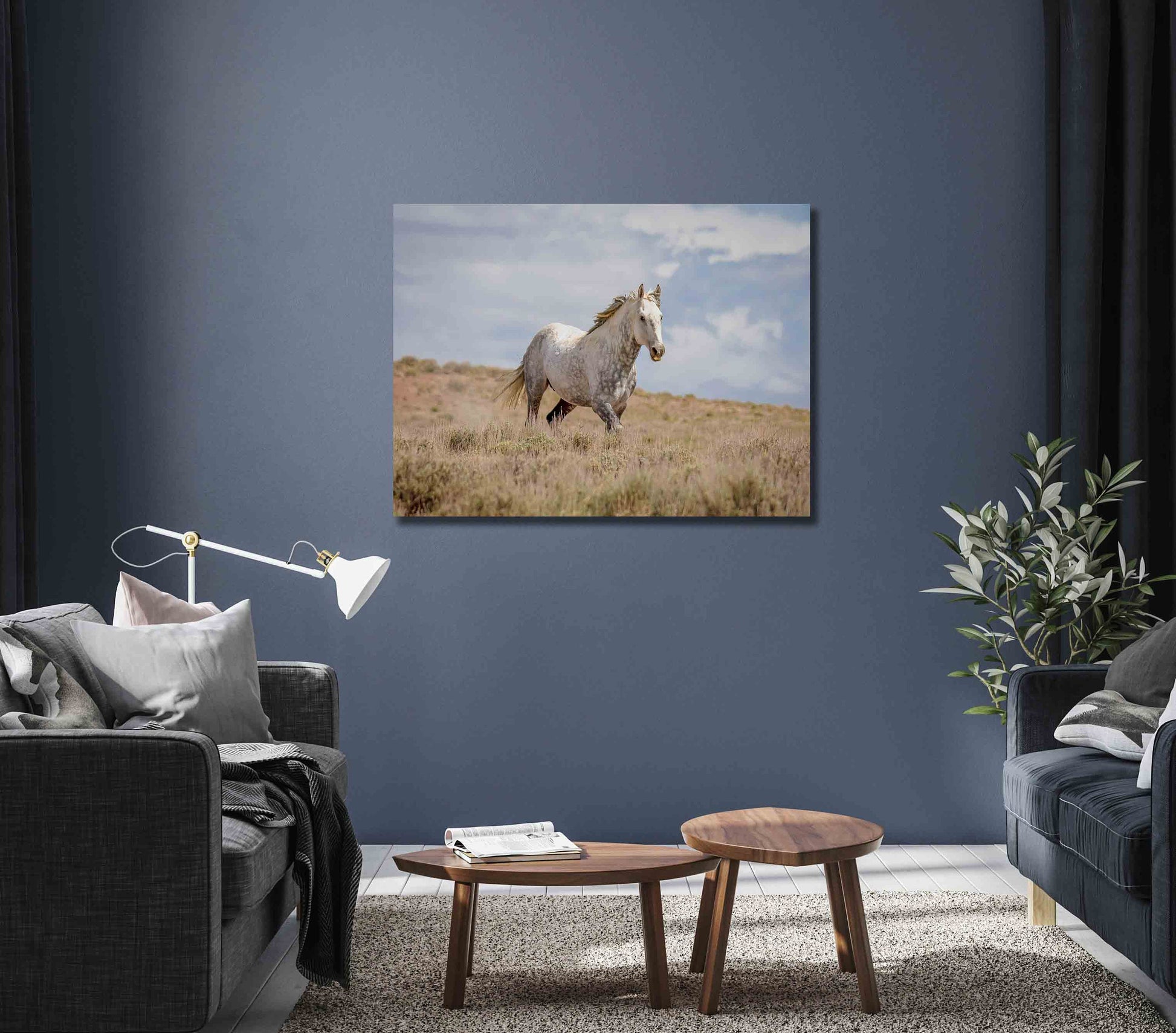 Wild Horse in Colorado Wall Art Print, Wild Mustang Gray Stallion Photo, Wildlife Canvas, Cowboy Old West Decor for Home or Office