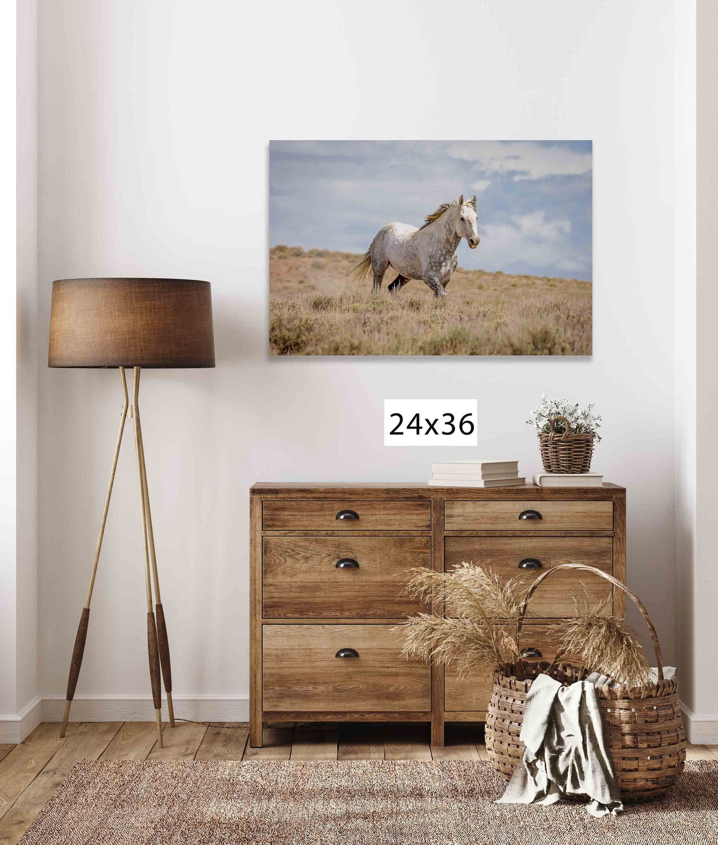 Wild Horse in Colorado Wall Art Print, Wild Mustang Gray Stallion Photo, Wildlife Canvas, Cowboy Old West Decor for Home or Office