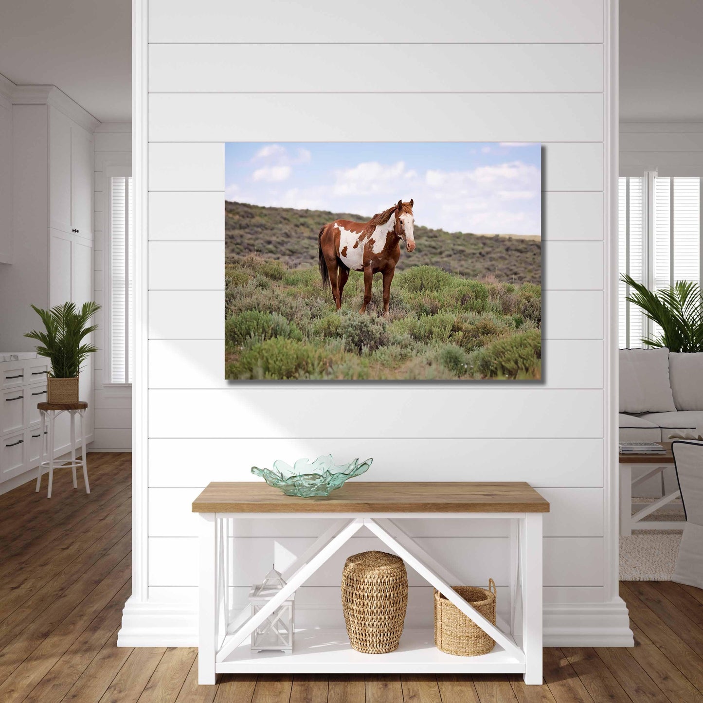 Wild Mustang Pinto Stallion Photo, Wild Paint Horse in Colorado Wall Art Print, Wildlife Canvas, Cowboy Old West Decor for Home or Office