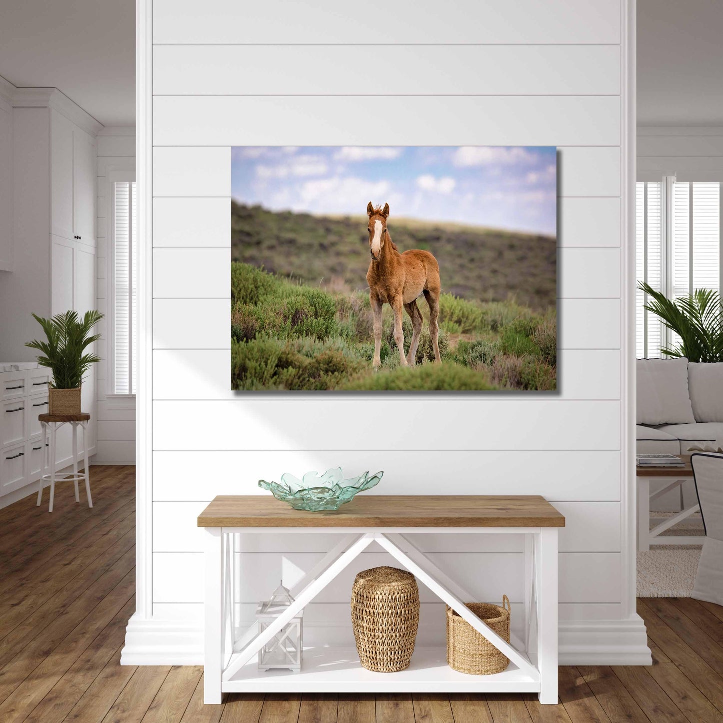 Wild Mustang Baby Horse Canvas Photo, Wild Foal in Colorado Wall Art Print, Wildlife Horse Canvas, Cowboy Old West Decor for Home or Office