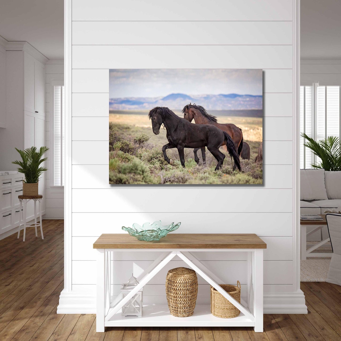 Wild Mustang Black Stallion Photo, Wild Horses in Colorado Wall Art Print, Wildlife Canvas, Cowboy Old West Decor for Home or Office