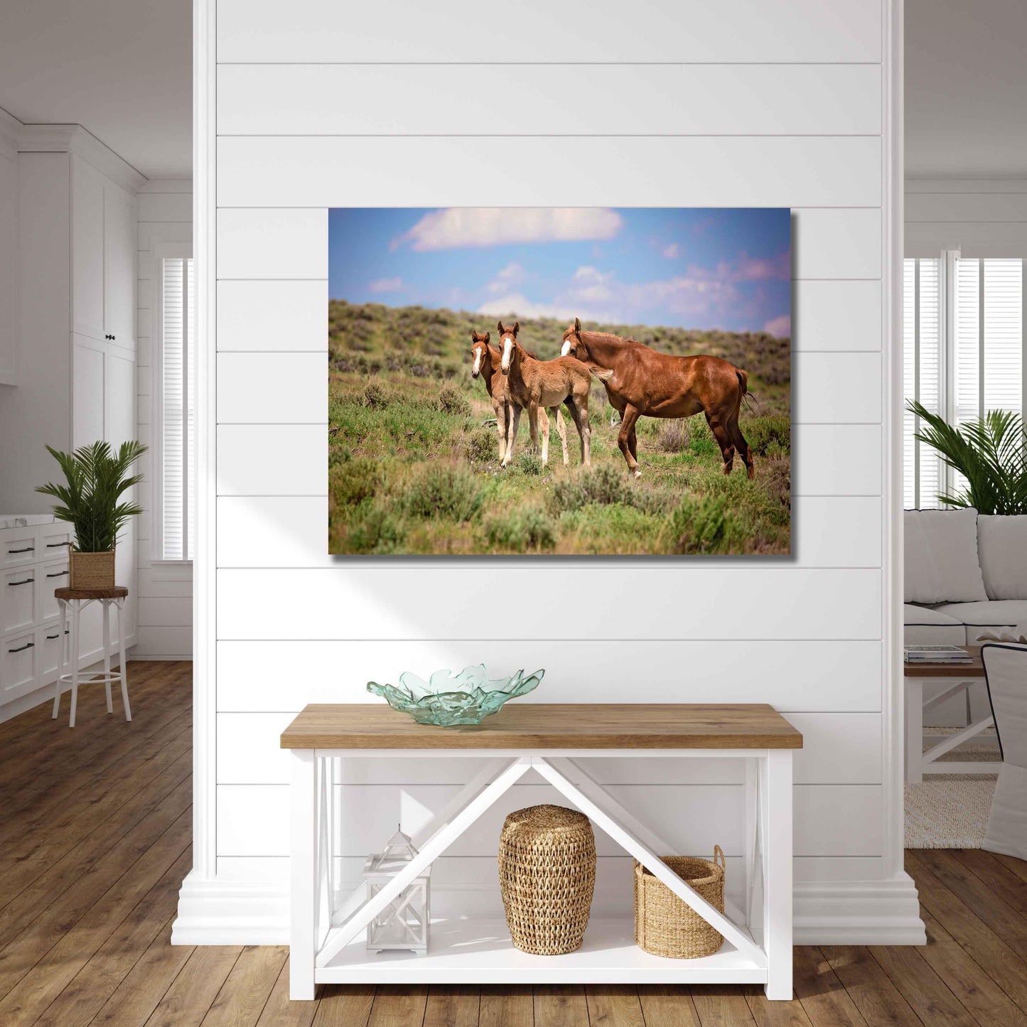 Wild Mustang Foals Canvas Photo, Wild Baby Horses in Colorado Wall Art Print, Wildlife Canvas, Cowboy Old West, Rustic Home or Office Decor