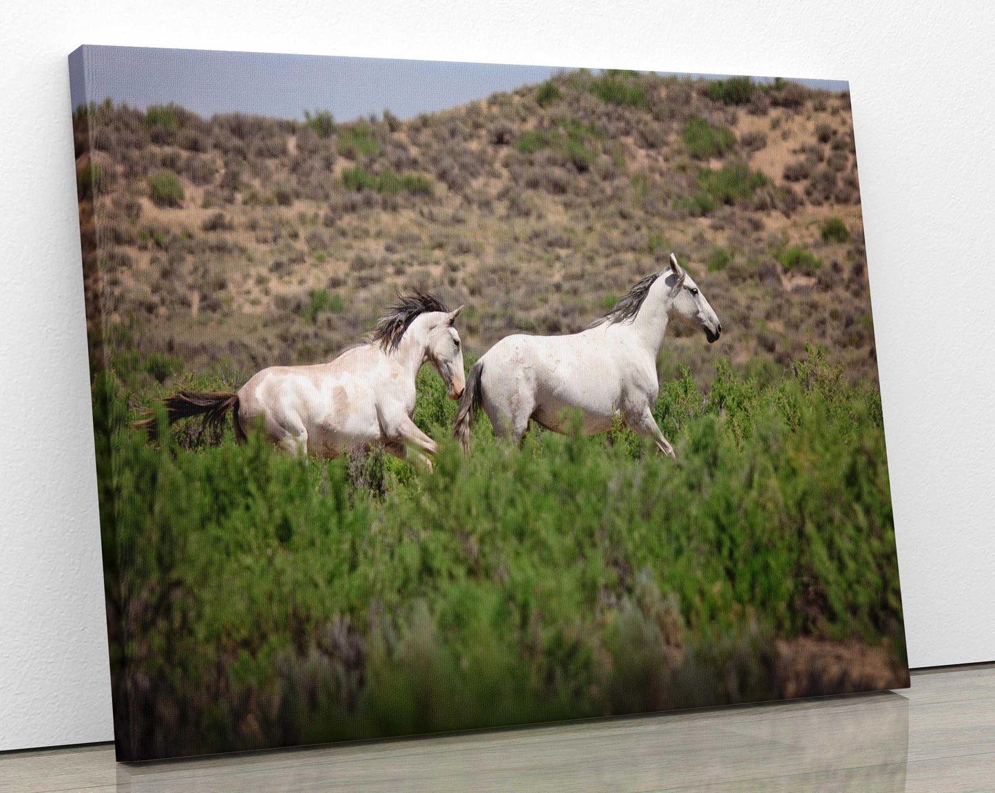 Wild Horses Running Photo Print, Wild Mustangs in Colorado Wall Art, Pinto and Gray Mares, Wildlife Canvas, Cowboy Old West Decor