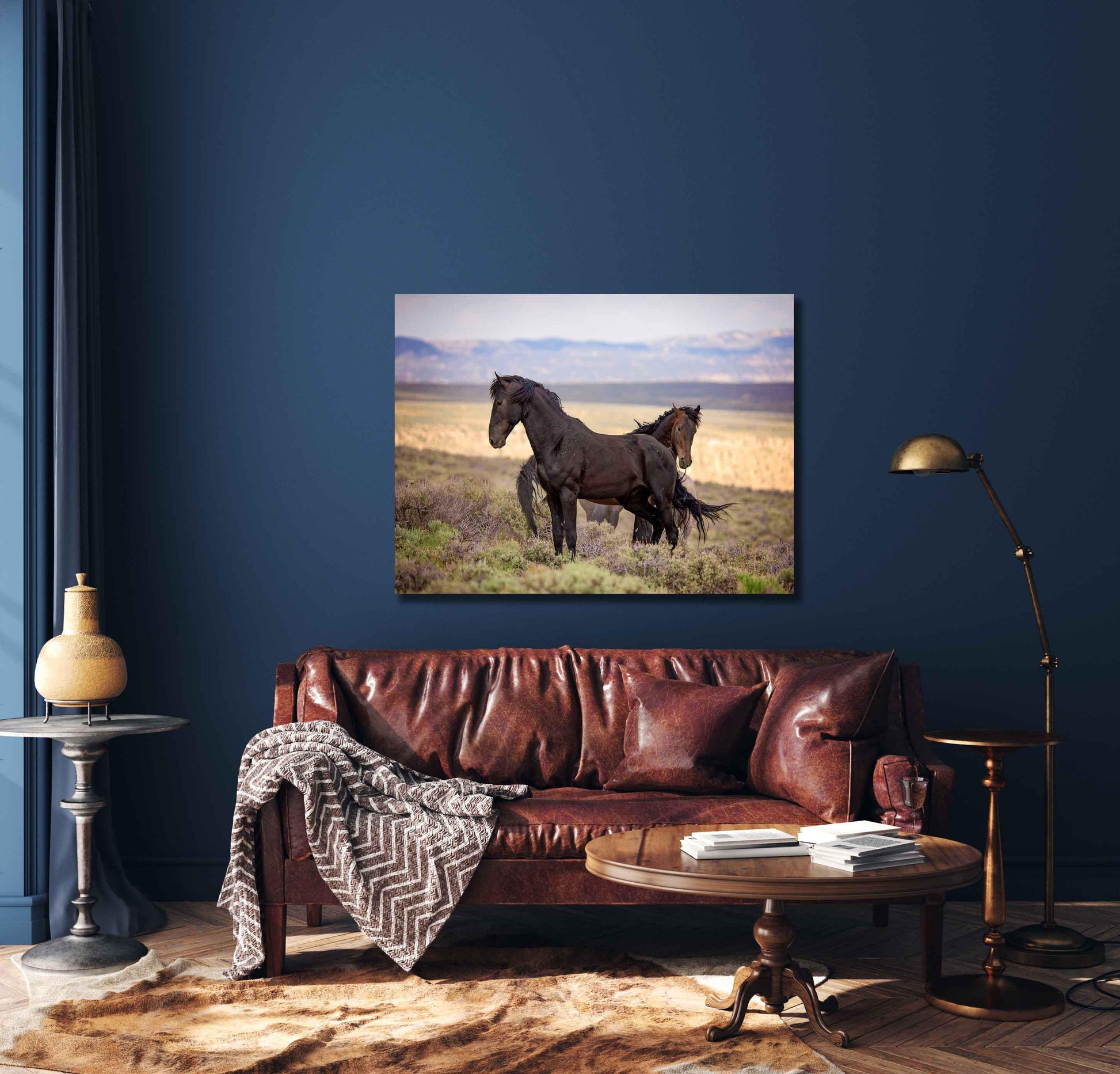 Wild Black Mustang Stallion Standing Photo, Wild Horses in Colorado Wall Art Print, Wildlife Canvas, Cowboy Old West Home or Office Decor