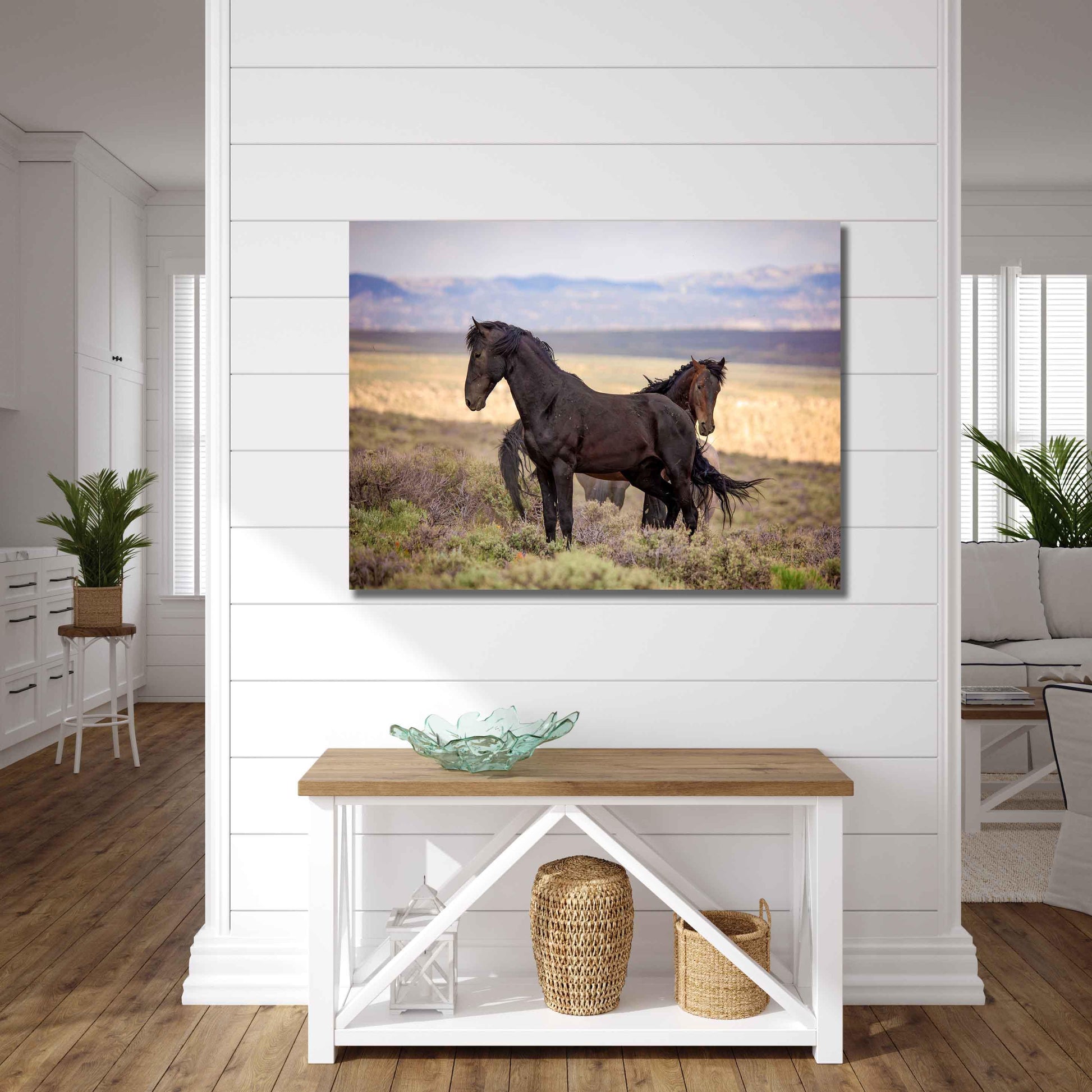 Wild Black Mustang Stallion Standing Photo, Wild Horses in Colorado Wall Art Print, Wildlife Canvas, Cowboy Old West Home or Office Decor