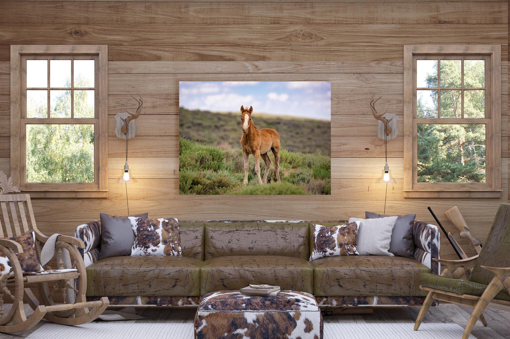 Wild Mustang Baby Horse Canvas Photo, Wild Foal in Colorado Wall Art Print, Wildlife Horse Canvas, Cowboy Old West Decor for Home or Office