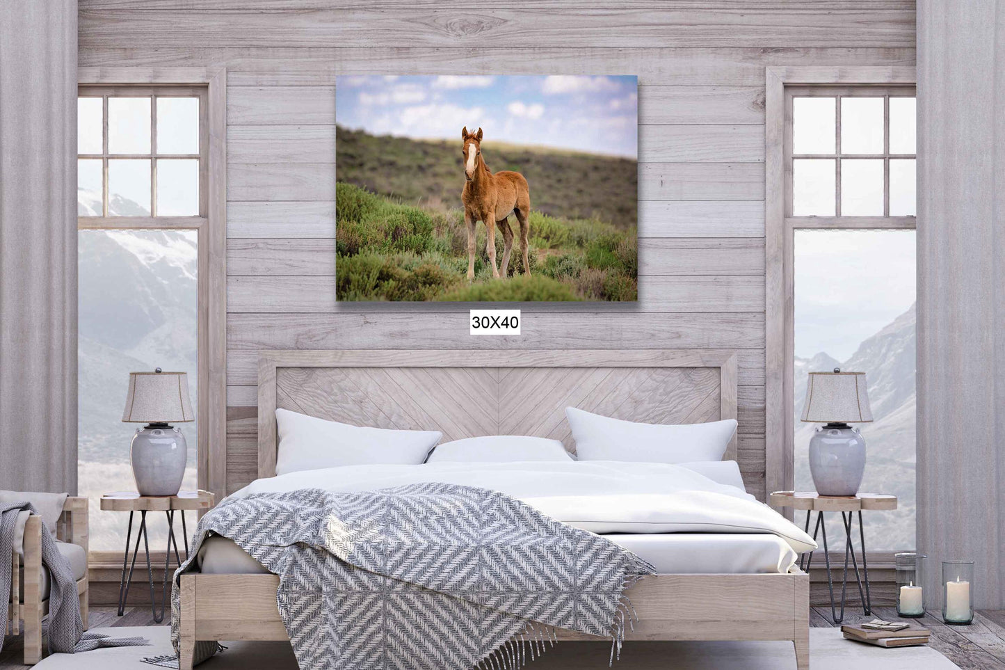 Wild Mustang Baby Horse Canvas Photo, Wild Foal in Colorado Wall Art Print, Wildlife Horse Canvas, Cowboy Old West Decor for Home or Office