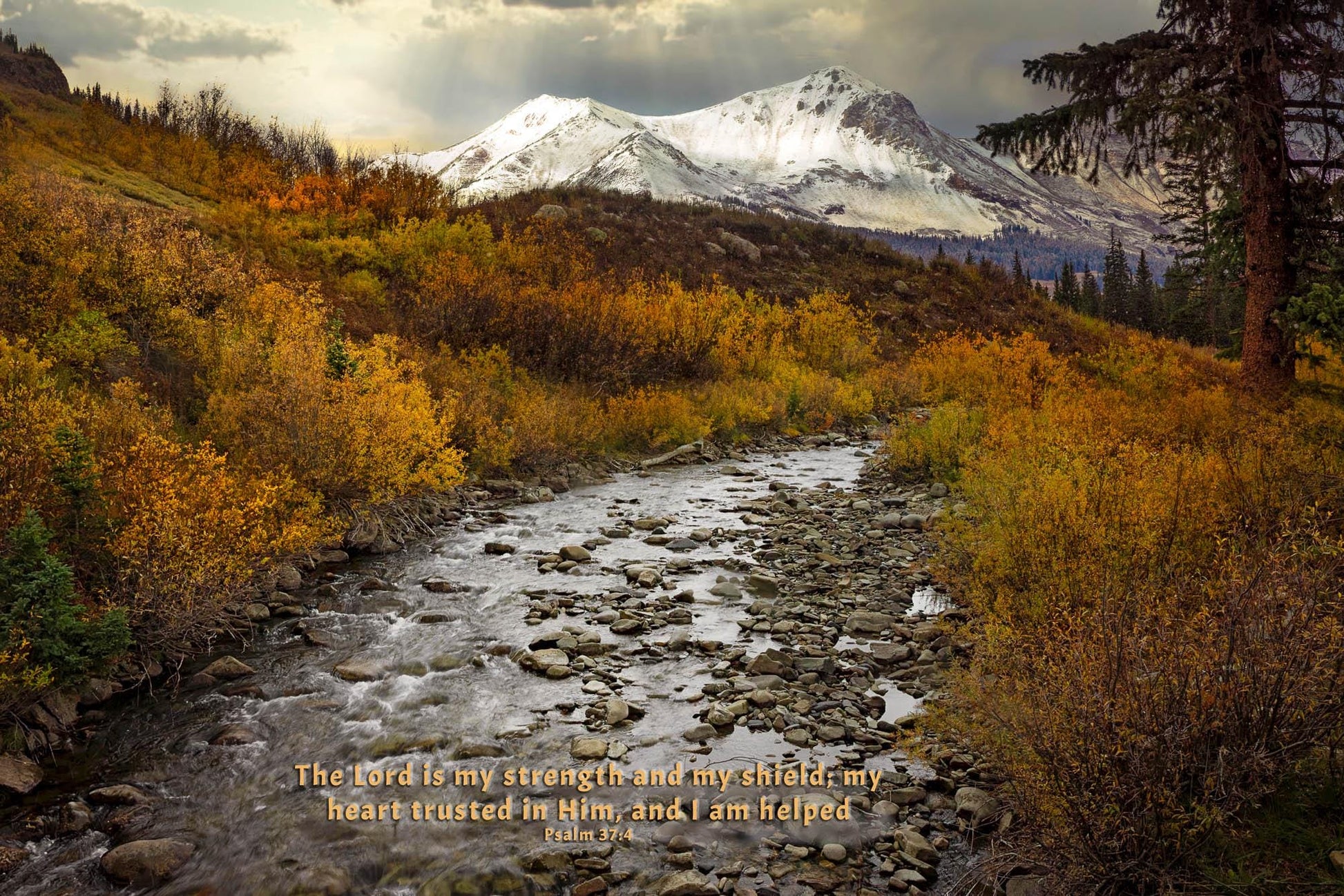 Snowy mountain peaks rising above a stream near Crested Butte Colorado. Autumn landscape photo with Bible Verse, Psalm 37:4, The Lord is my strength and my shield; my heart trusted in Him, andI am helped.