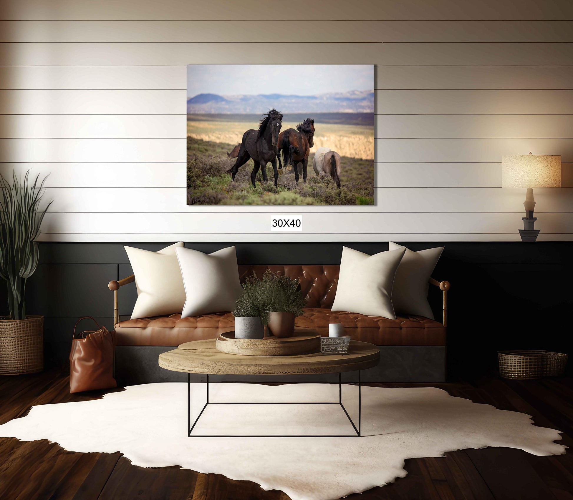 Wild Mustang Stallions Fighting Photo, Wild Horses in Colorado Wall Art Print, Wildlife Canvas, Cowboy Old West Style, Home or Office Decor