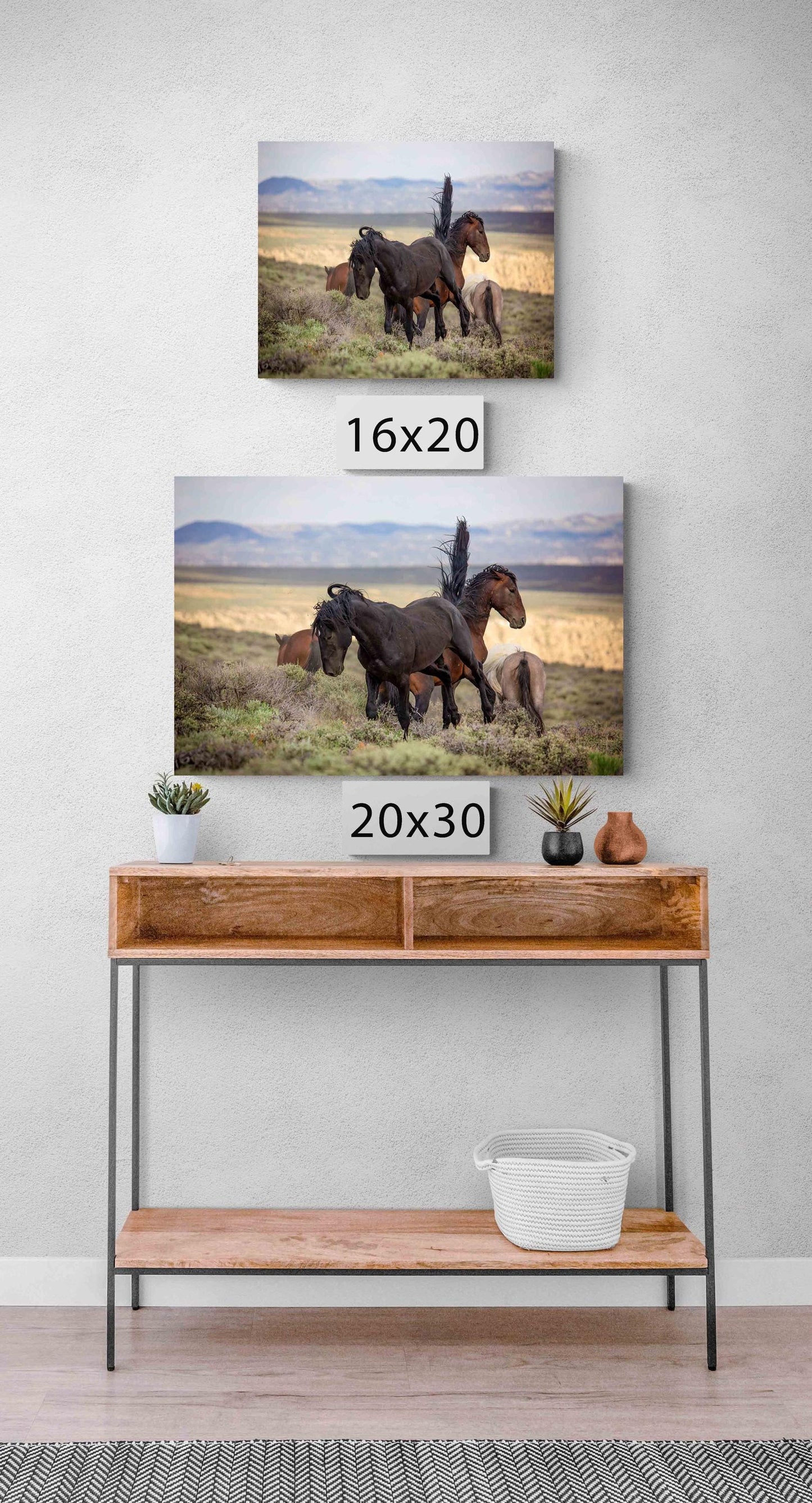 Wild Horses Fighting Photo Print, Mustang Stallions in Colorado Wall Art, Wildlife Canvas, Cowboy Old West Style, Rustic Home Office Decor