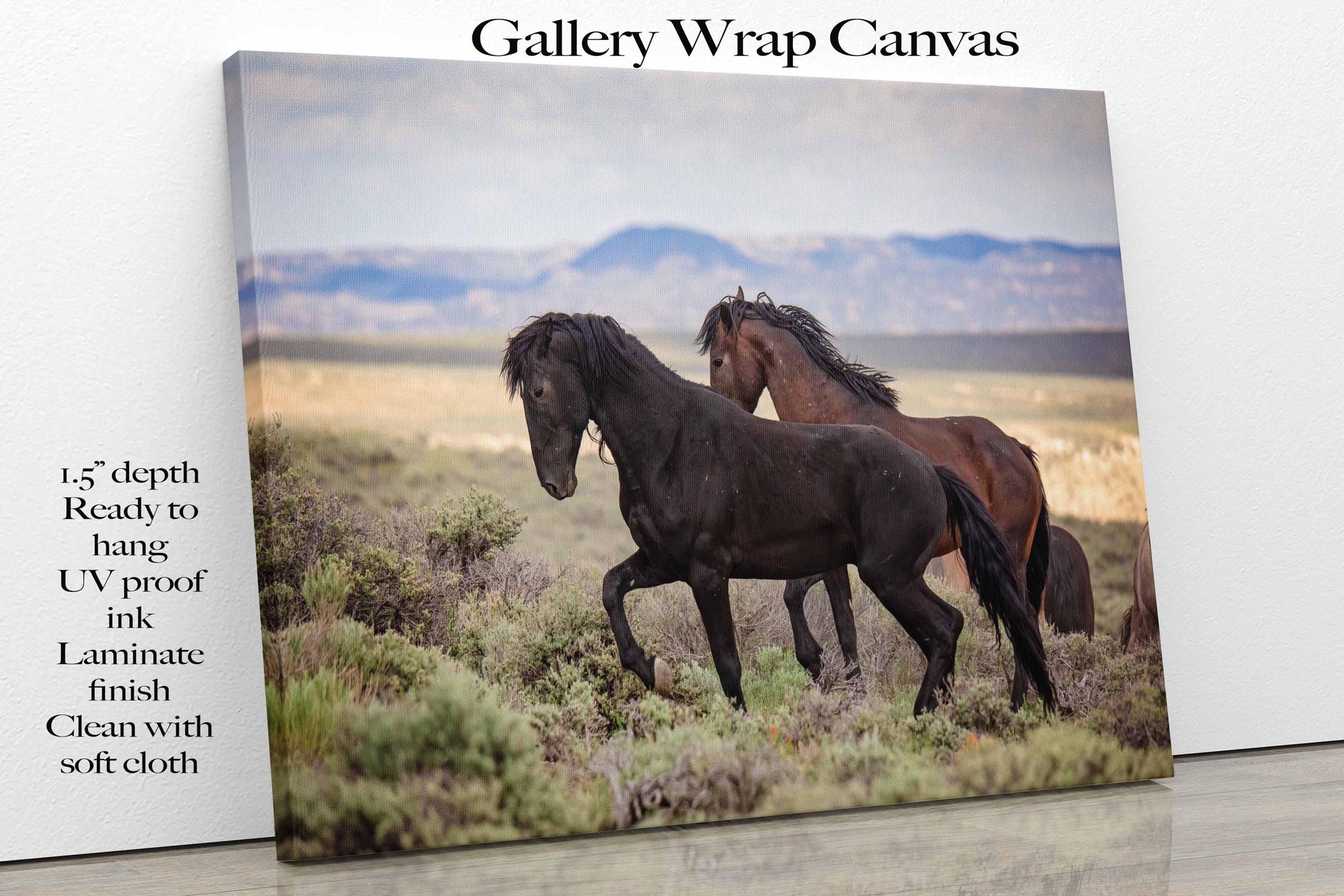 Wild Mustang Black Stallion Photo, Wild Horses in Colorado Wall Art Print, Wildlife Canvas, Cowboy Old West Decor for Home or Office