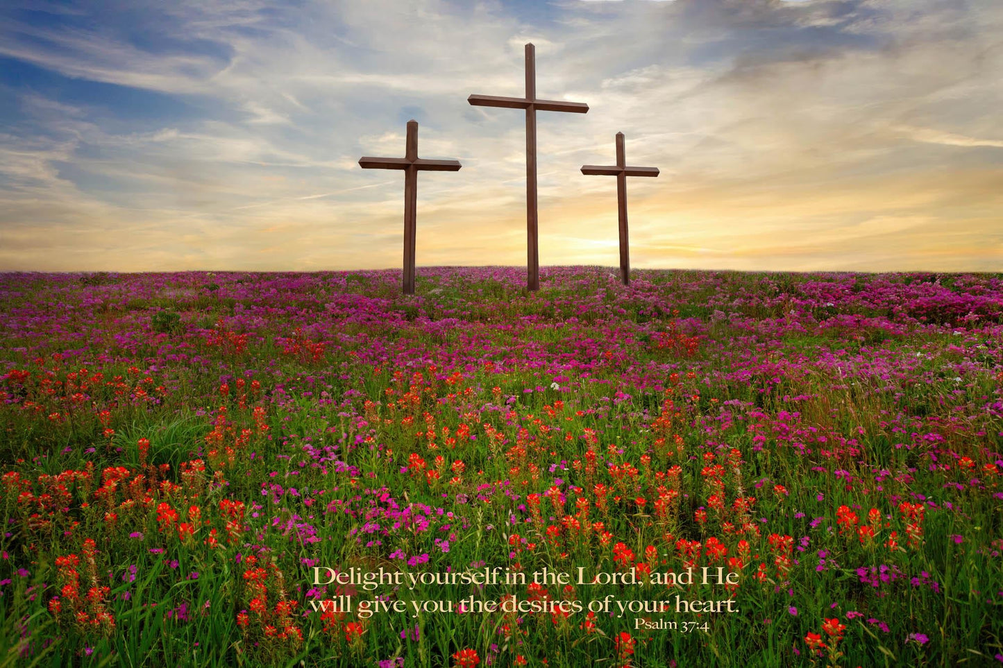 Psalm 37:4 Christian Inspirational Scripture Canvas. Delight Yourselves in the Lord, Three Crosses Photo, Texas Wildflower Landscape