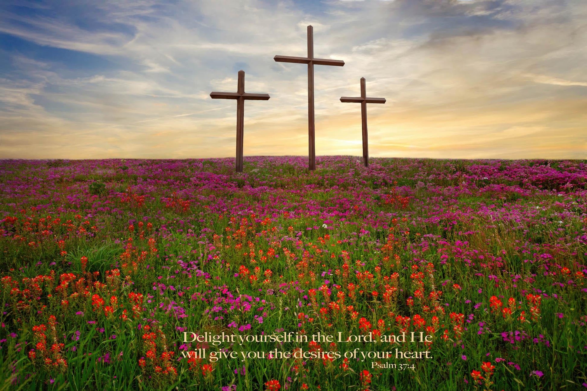 Psalm 37:4 Christian Inspirational Scripture Canvas. Delight Yourselves in the Lord, Three Crosses Photo, Texas Wildflower Landscape