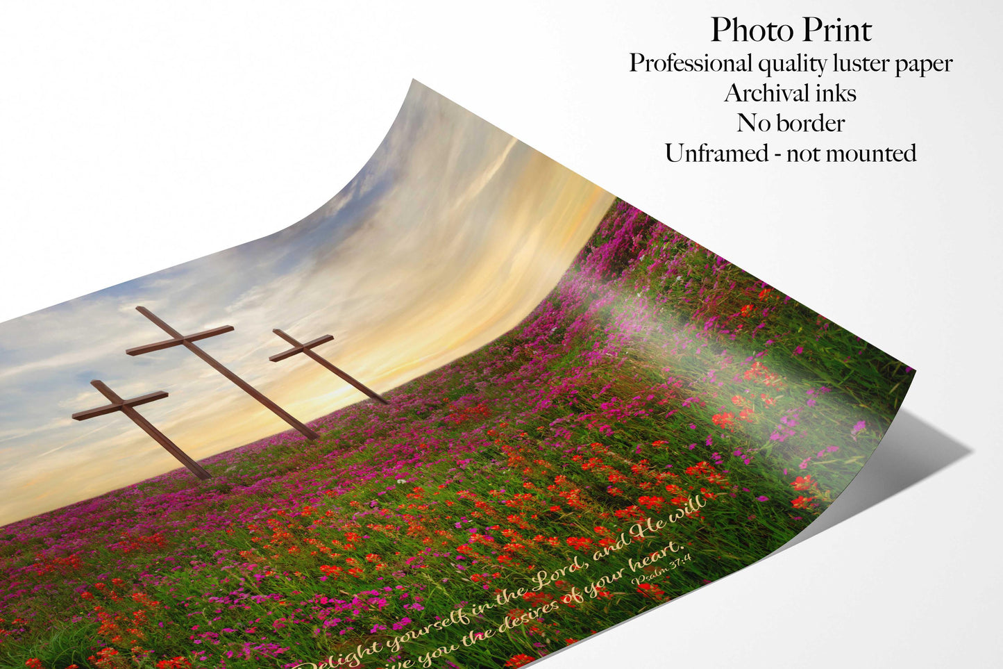 Psalm 37:4 Christian Inspirational Scripture Canvas. Delight Yourselves in the Lord, Three Crosses Photo, Texas Wildflower Landscape